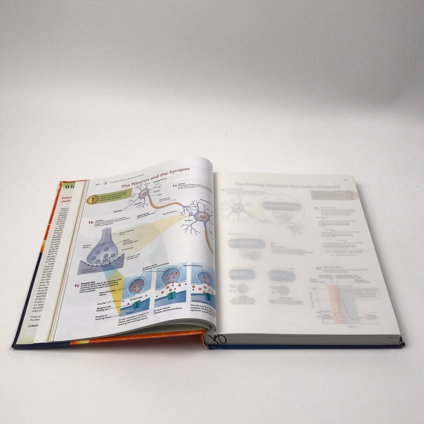 The Science of Psychology An Appreciative View Laura A King College Textbook