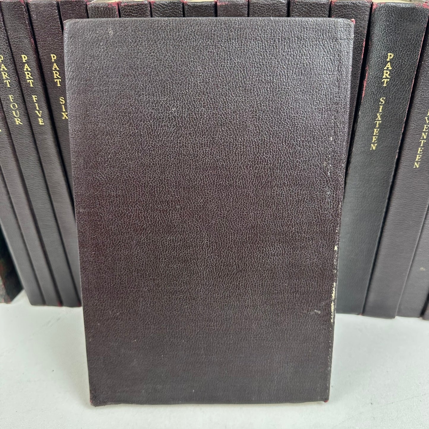 Delphian Text 19 Volumes plus Topical Outlines Leather Bound History Philosophy