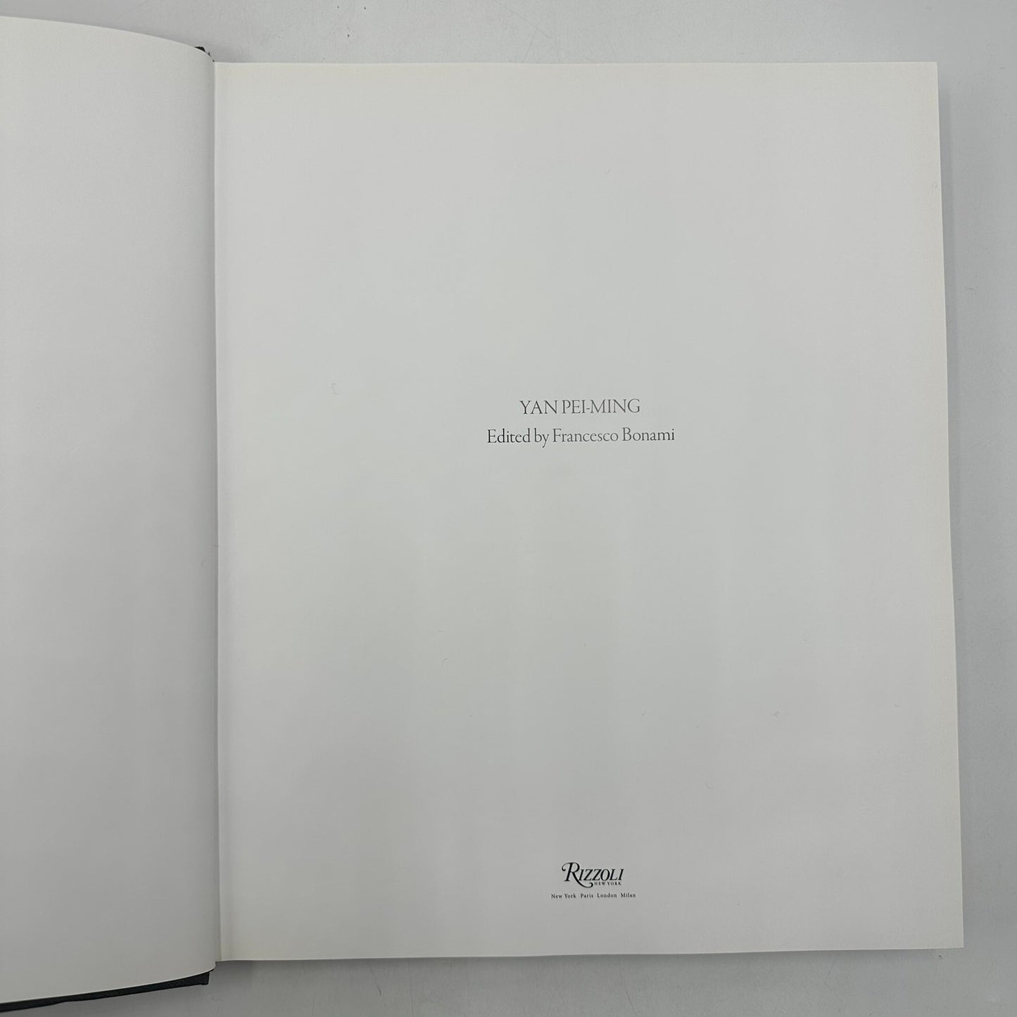 Yan Pei Ming Francesco Bonami Painting History Art Monograph Exhibition Catalog