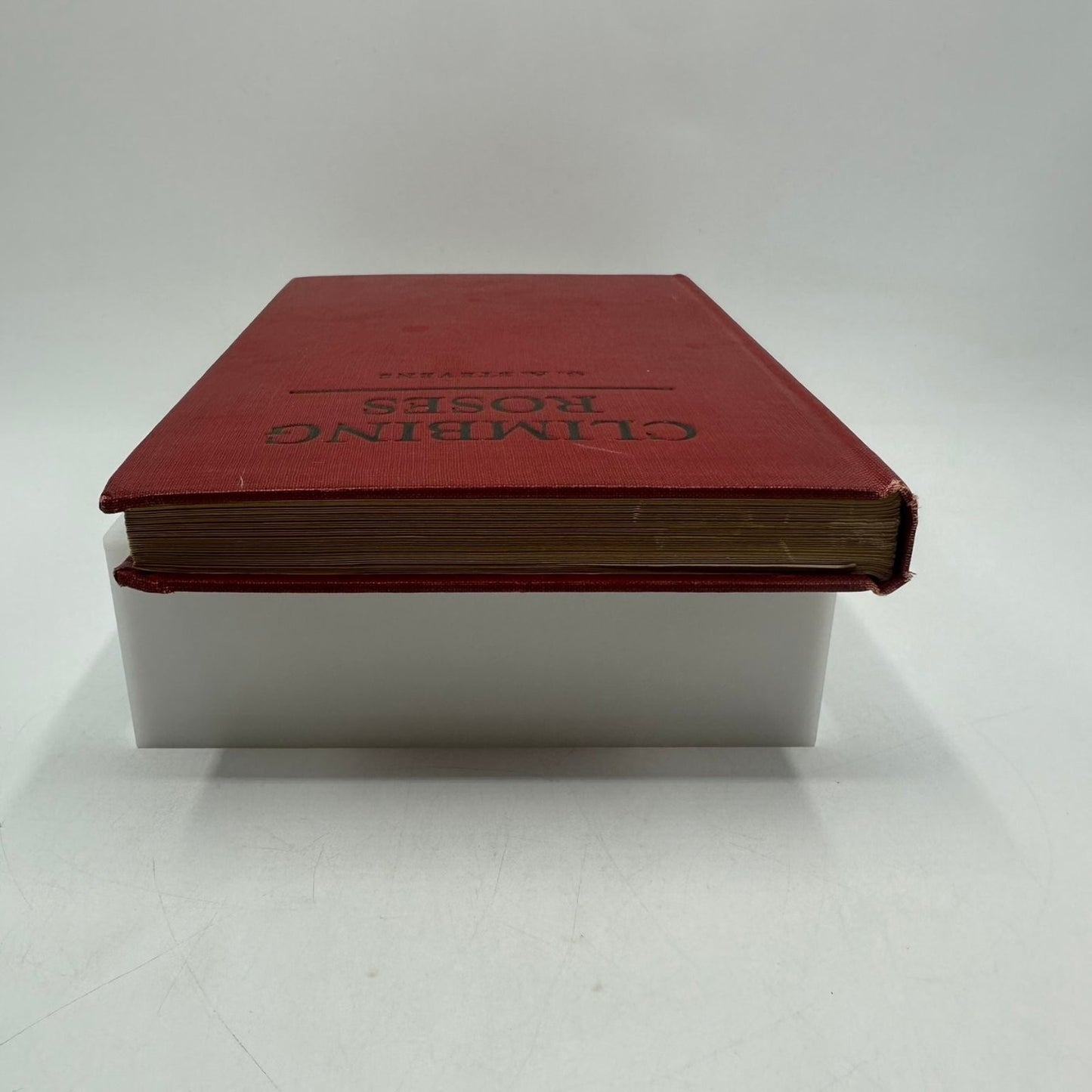 Climbing Roses G.A. Stevens 1933 First Edition Illustrated Macmillan Gardening