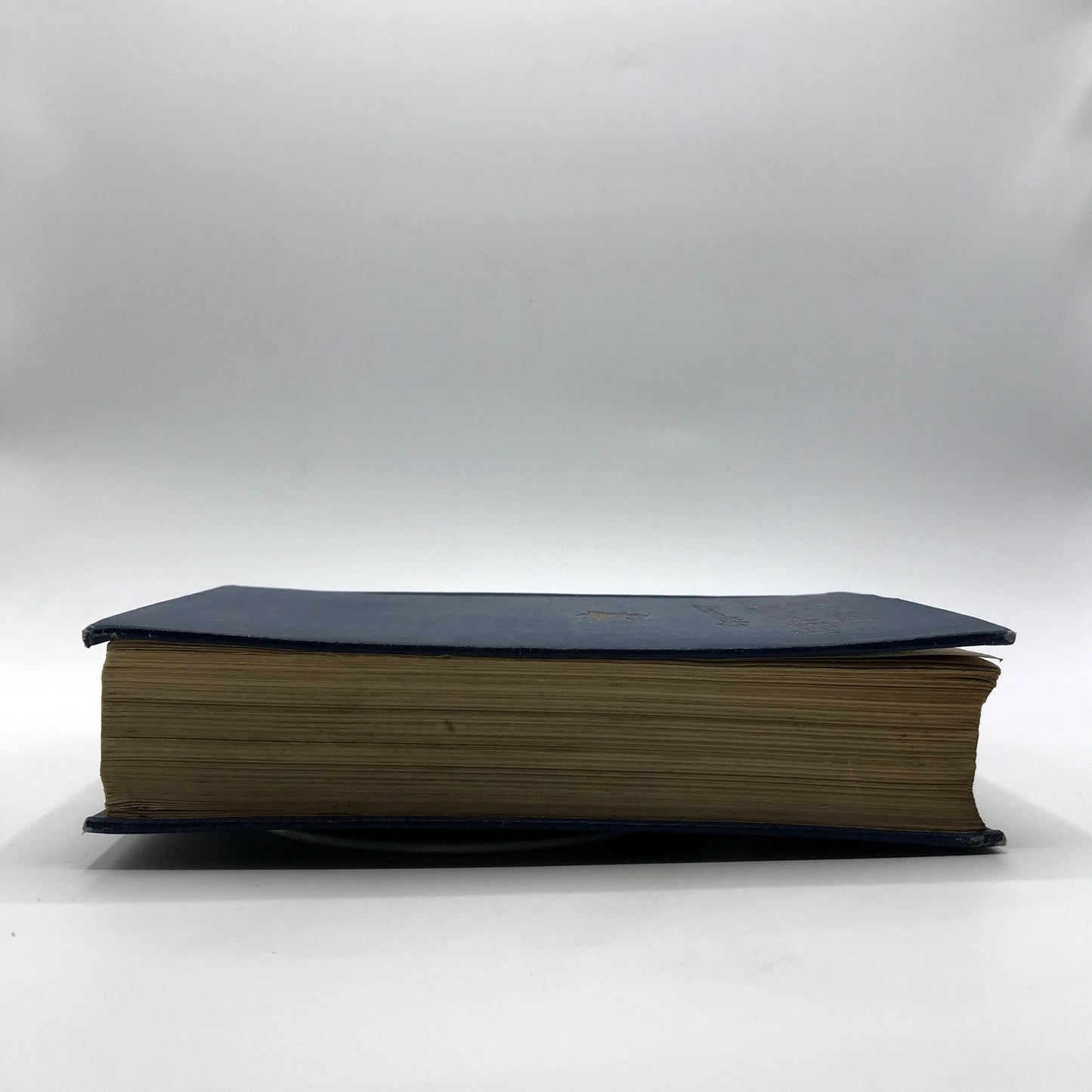 The Youth of James Whitcomb Riley Illustrated Hardcover by Marcus Dickey 1919