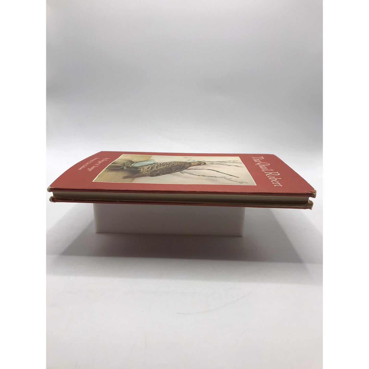 That Quail Robert Margaret A Stanger Ornithology Birds Wildlife Memoir Biography