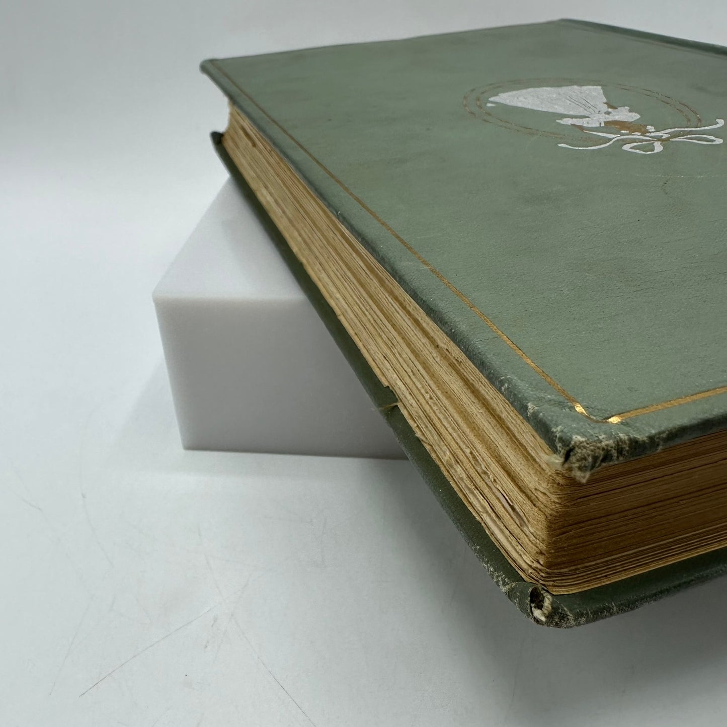 A Southern Girl in 61 D Giraud Wright Memoir Civil War Biography Confederate