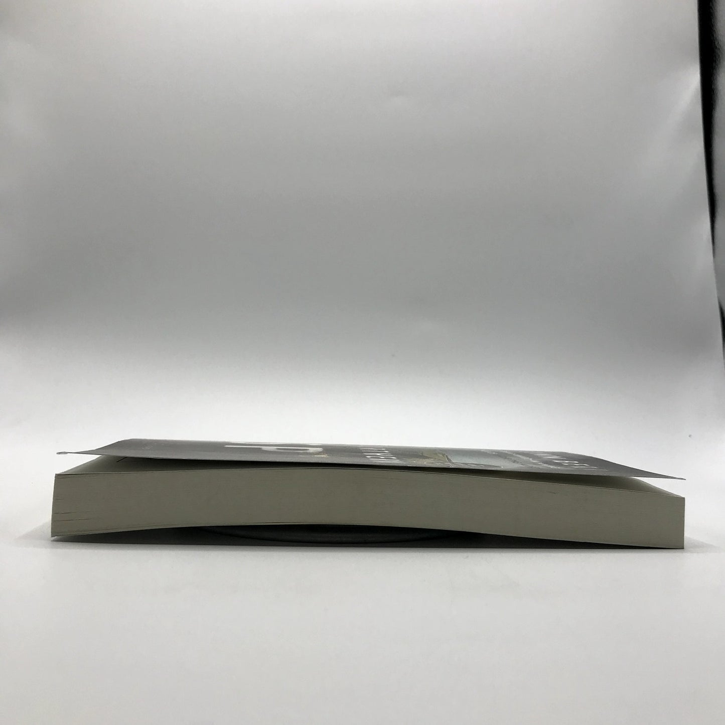 Northern Spy A Novel by Flynn Berry Advanced Uncorrected Proof 2021 Paperback