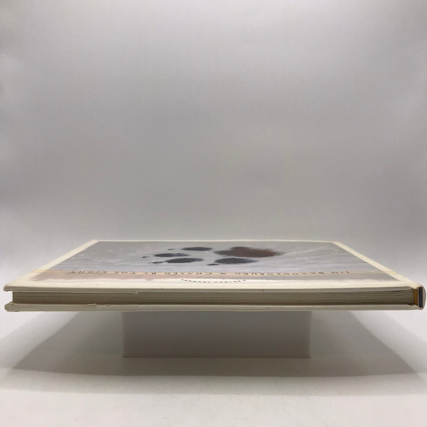 Chased by the Light A 90 Day Journey Jim Brandenburg with Signed Photo of Loon