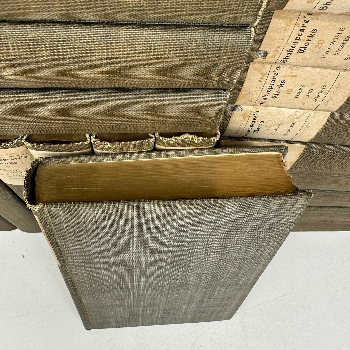 Shakespeares Works Edition de Luxe 24 Volume Set Historical Poetry Drama 1901