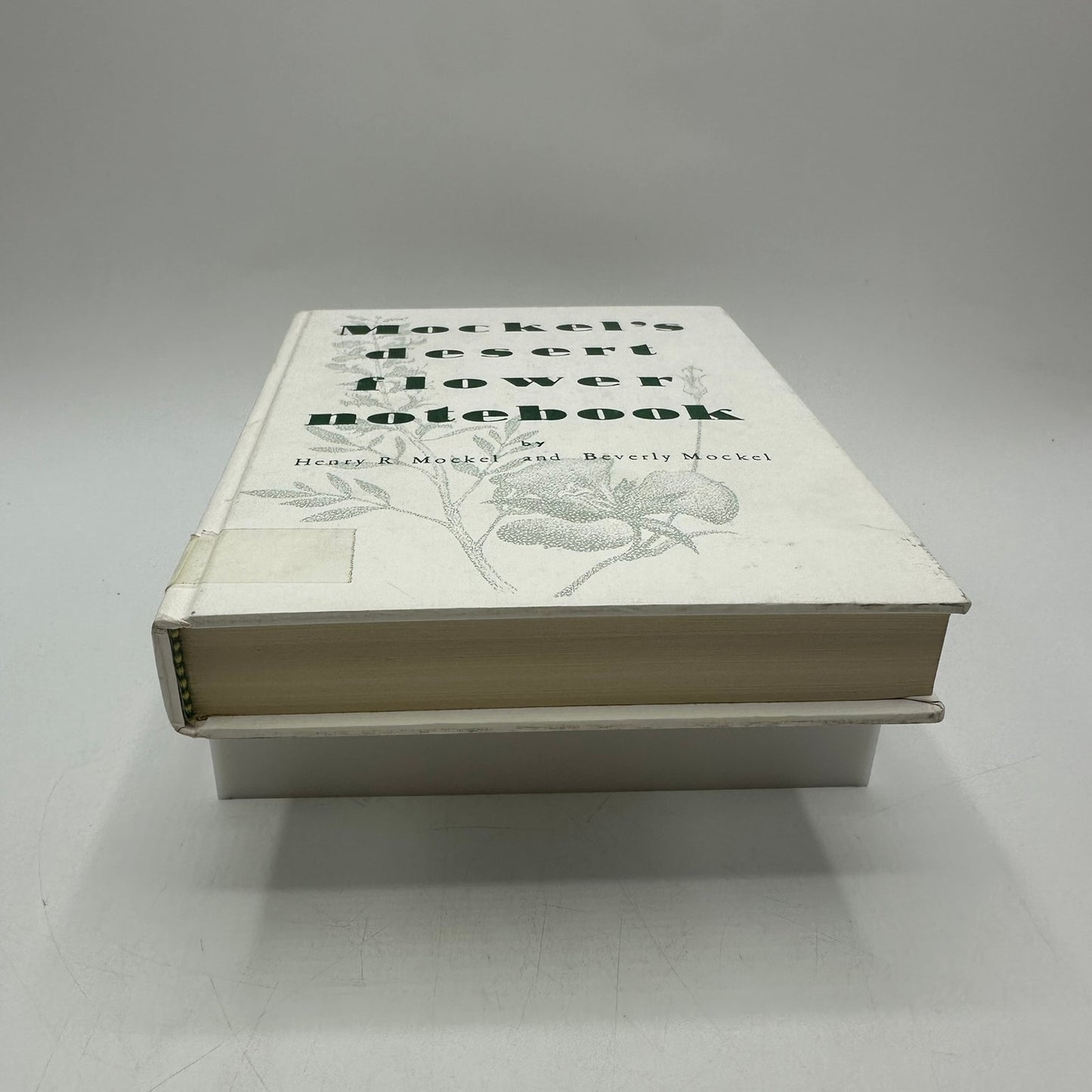 Mockels Desert Flower Notebook Henry Beverly SIGNED Drawings Watercolors 1971