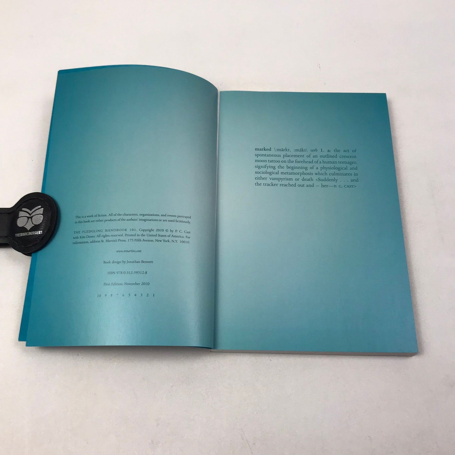 House of Night Series P C and Kristin Cast Lot of 11 Supernatural Fantasy Novels