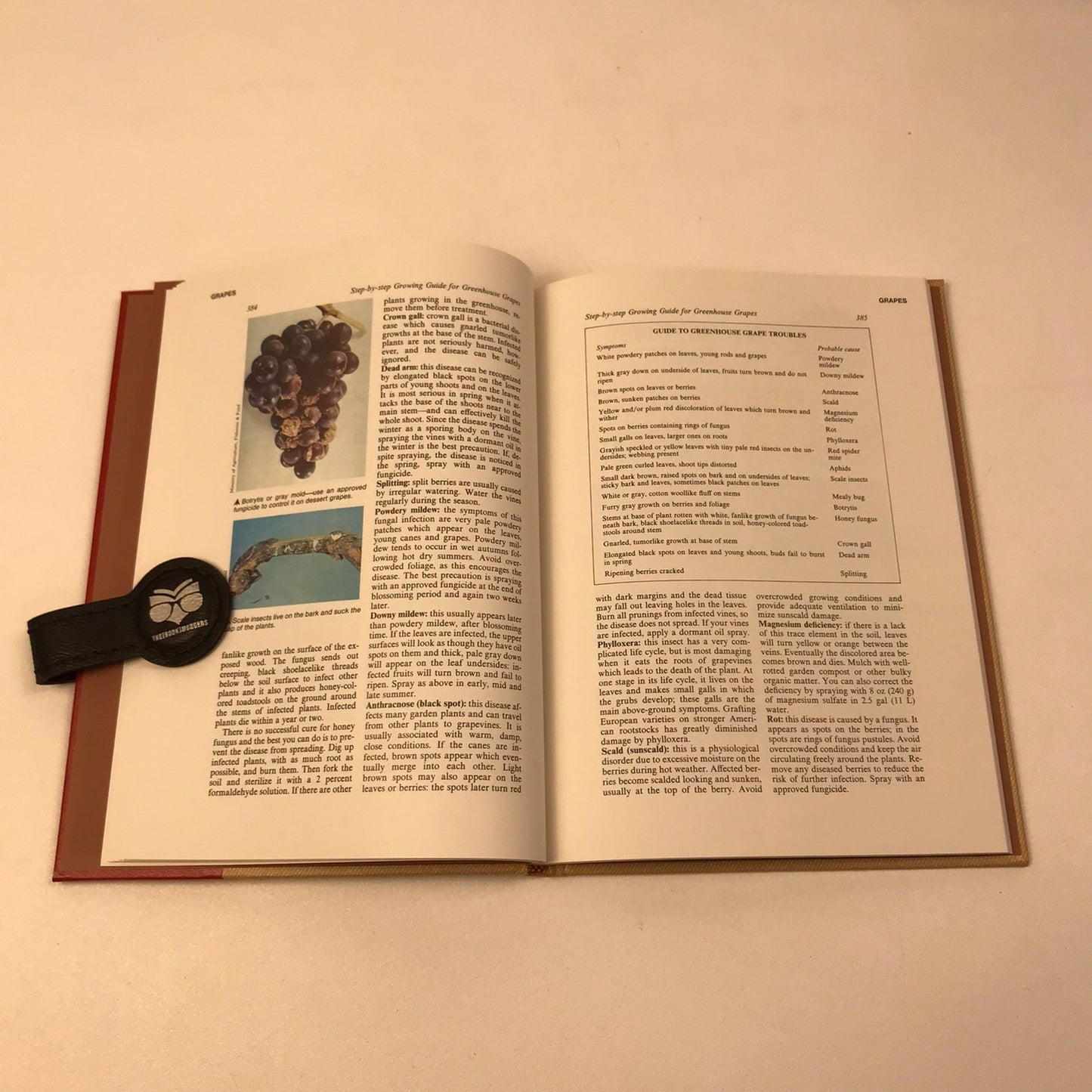 Complete Handyman Do It Yourself Encyclopedia 26 Volume Set Science Math Garden