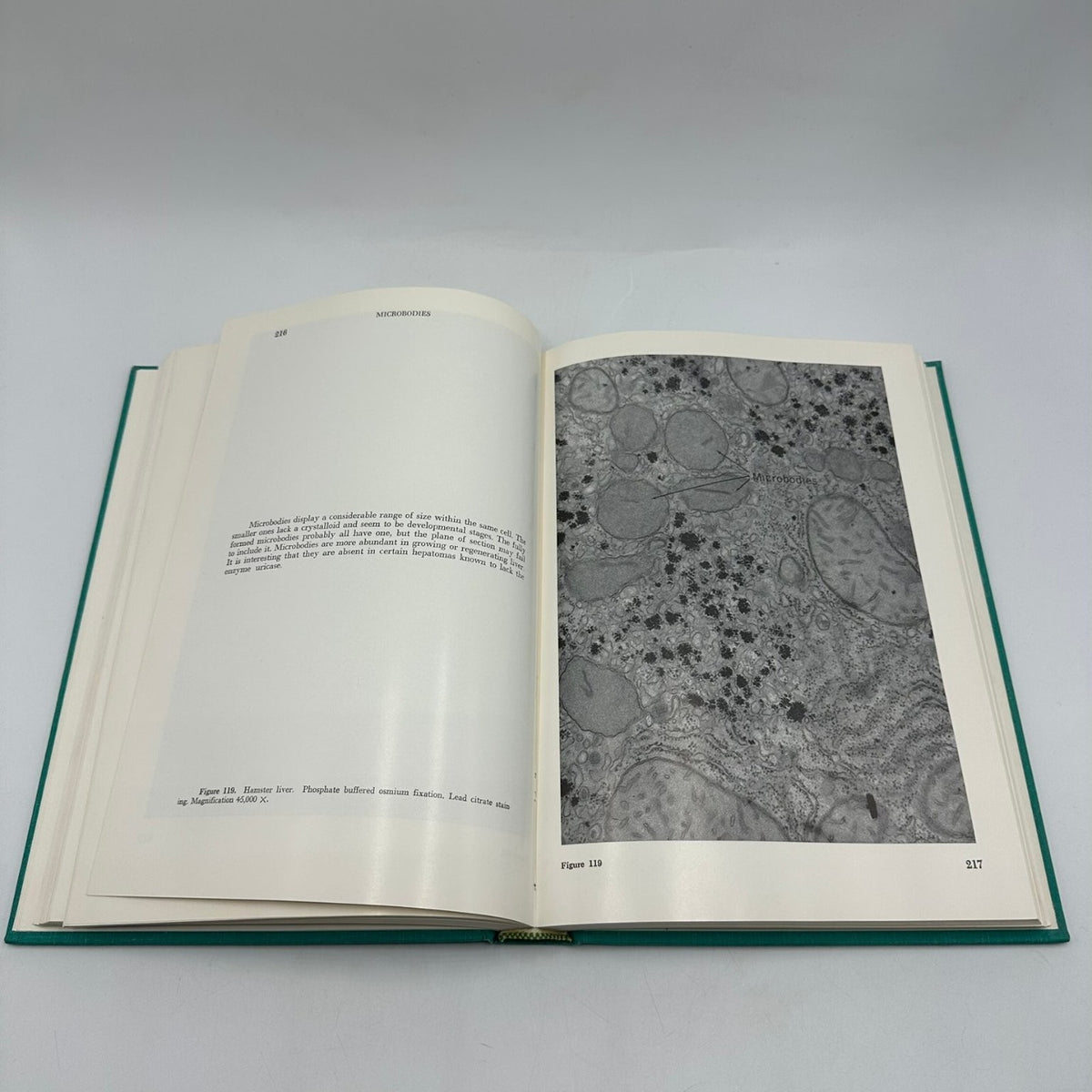 An Atlas of Fine Structure THE CELL Fawcett 1969 Biology Cytology Saunders