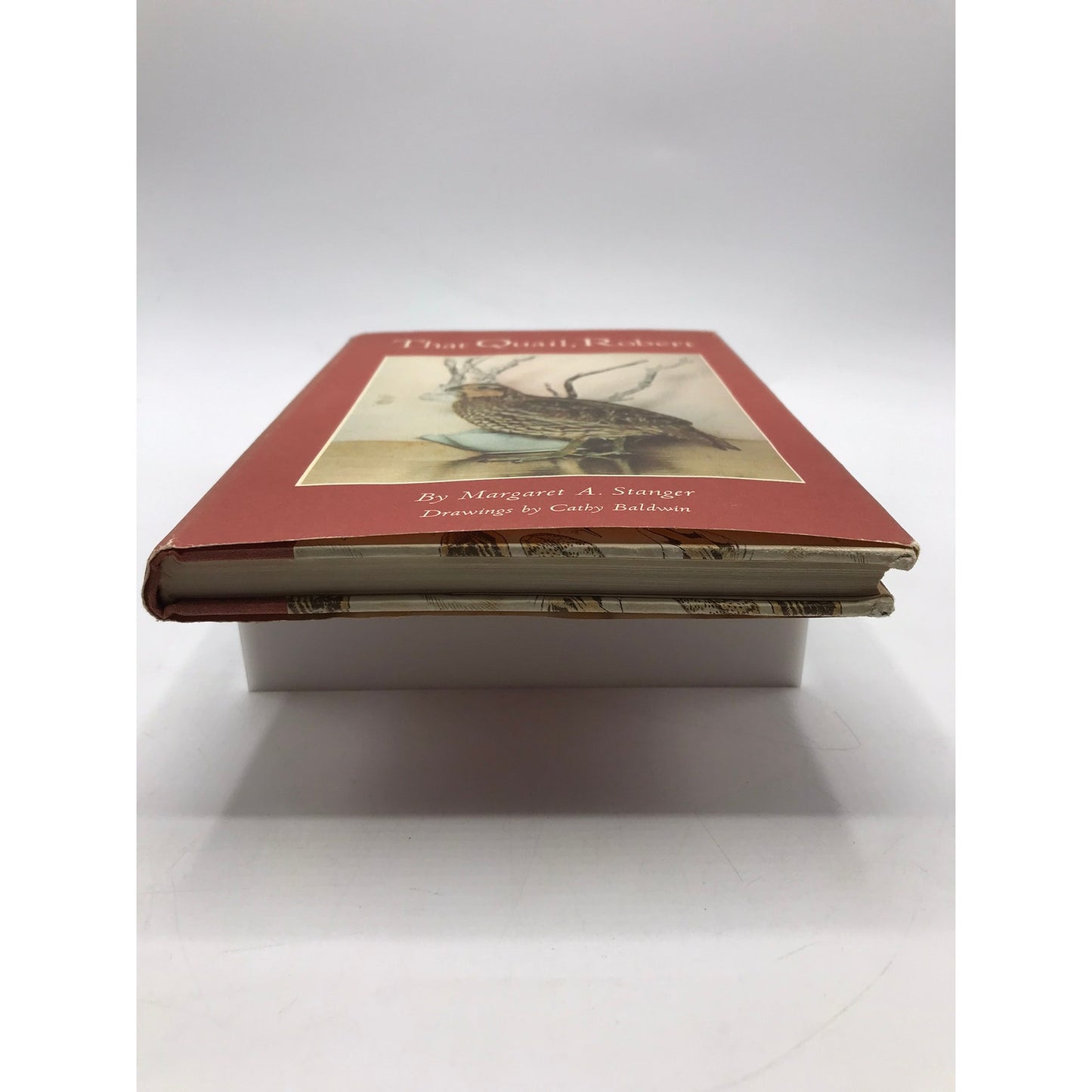 That Quail Robert Margaret A Stanger Ornithology Birds Wildlife Memoir Biography