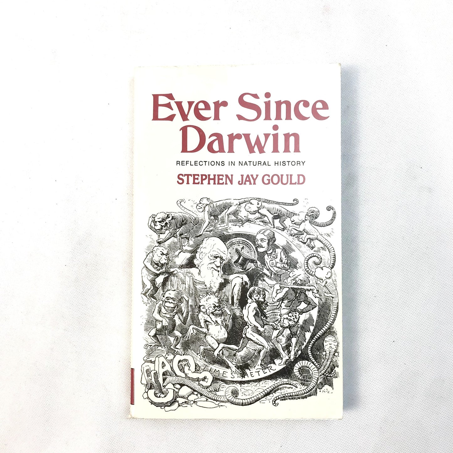 Ever Since Darwin: Reflections in Natural History Book by Stephen Jay Gould 1979
