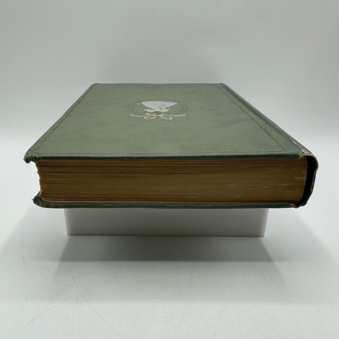 A Southern Girl in 61 D Giraud Wright Memoir Civil War Biography Confederate