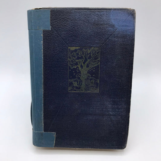 Queer Person Ralph Hubbard Young Adult Juvenile Native American Historical Novel