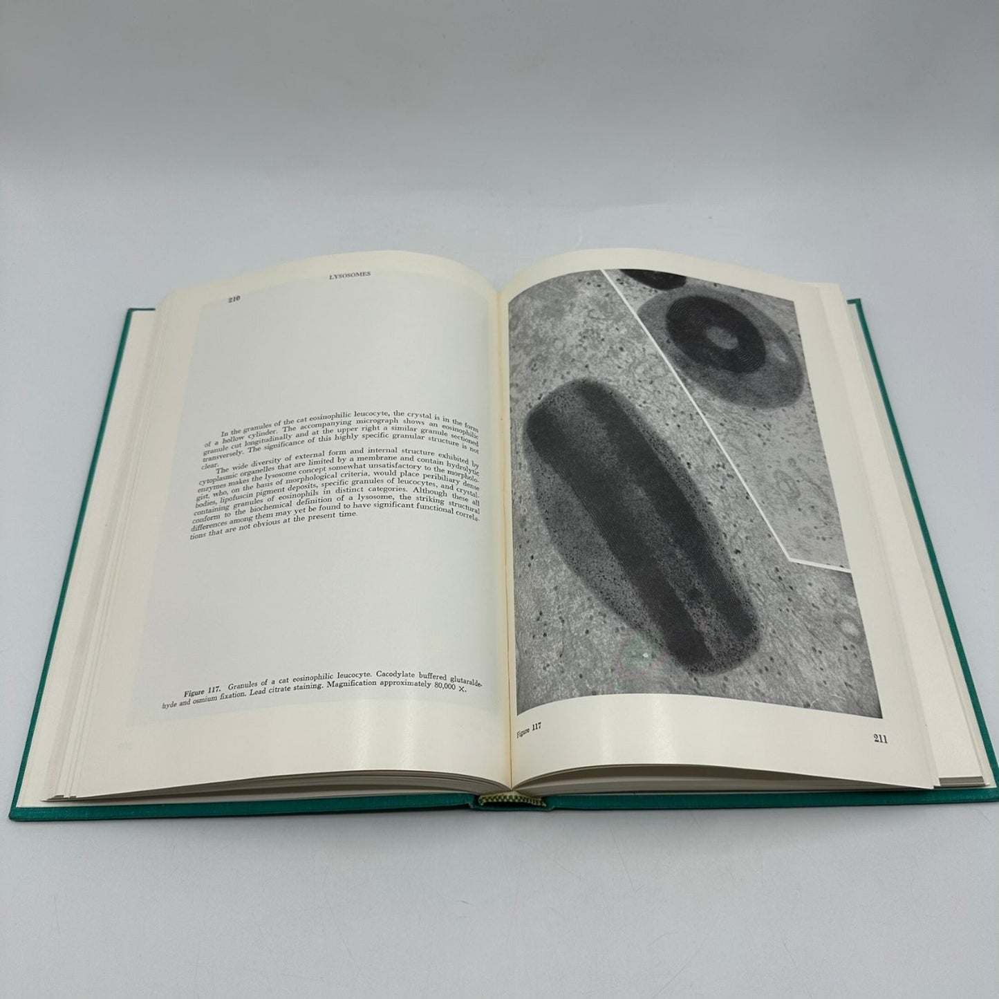 An Atlas of Fine Structure THE CELL Fawcett 1969 Biology Cytology Saunders