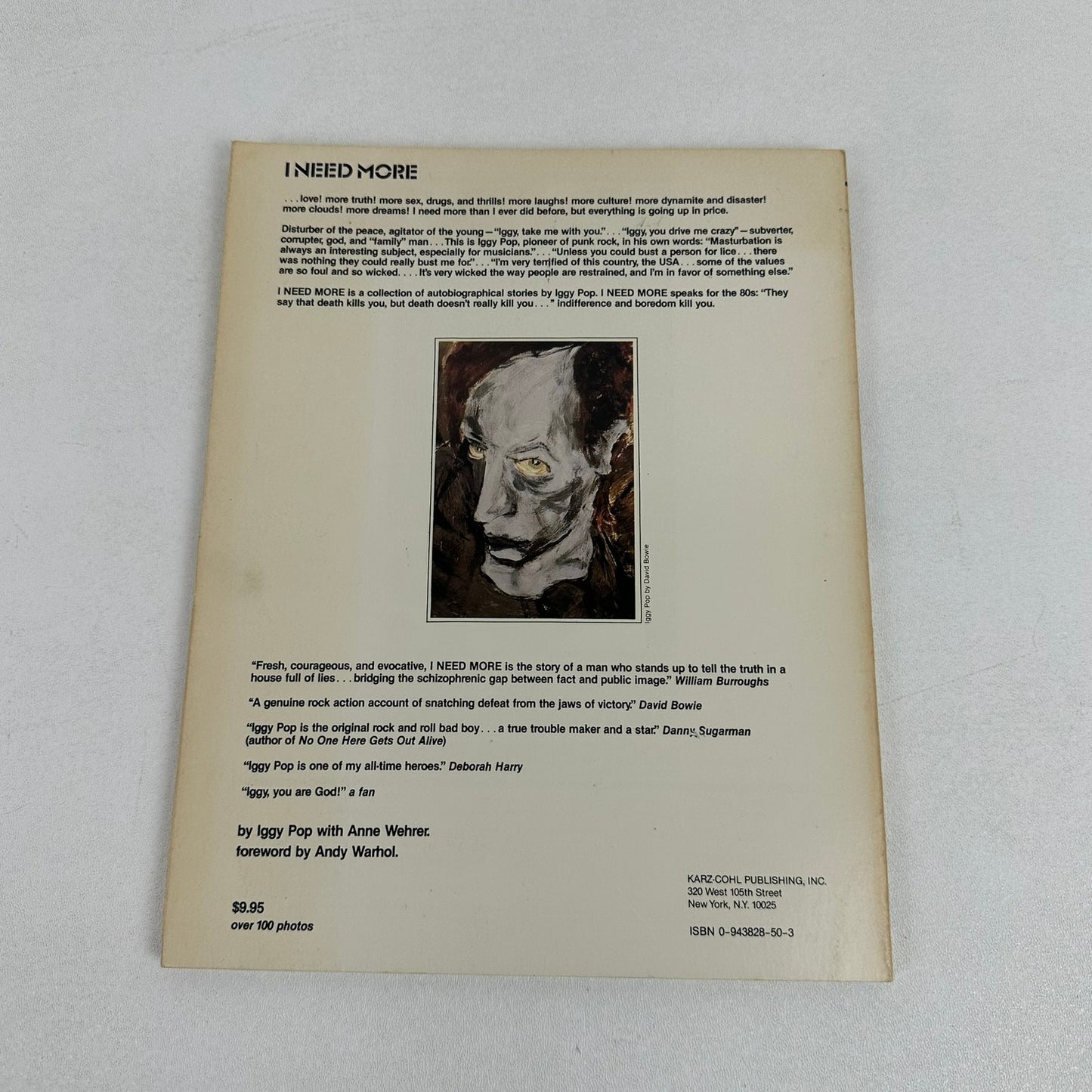 I Need More The Stooges and Other Stories Iggy Pop Anne Wehrer Biography Memoir