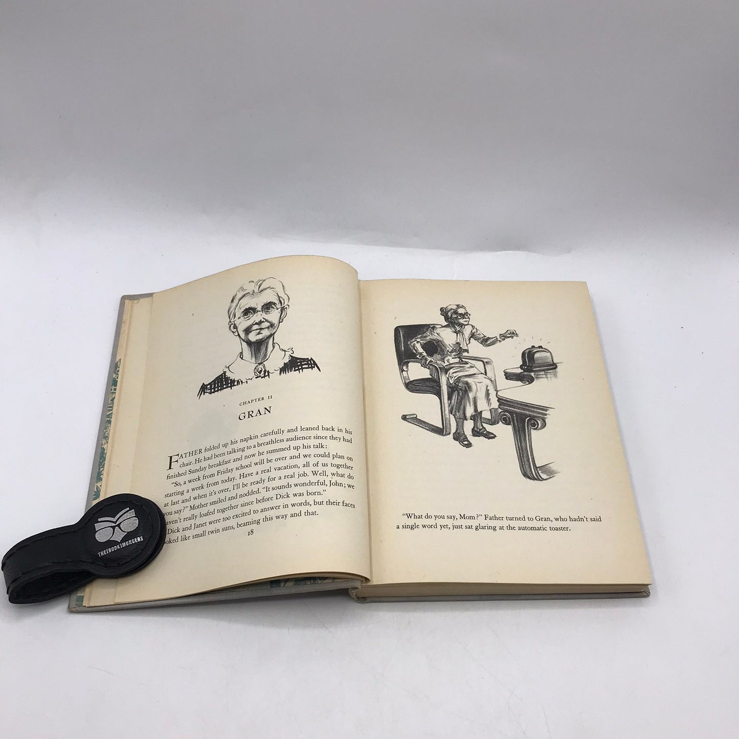 The Open Gate Kate Seredy Coming of Age Rural Life Juvenile Historical Adventure