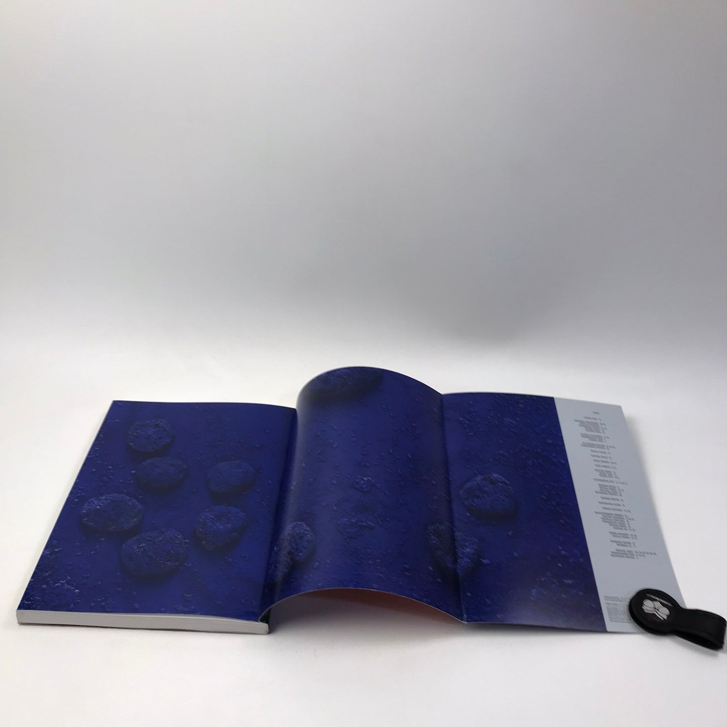 Sothebys Contemporary Art Exhibition Auction Catalog 2008 Lichtenstein Culture