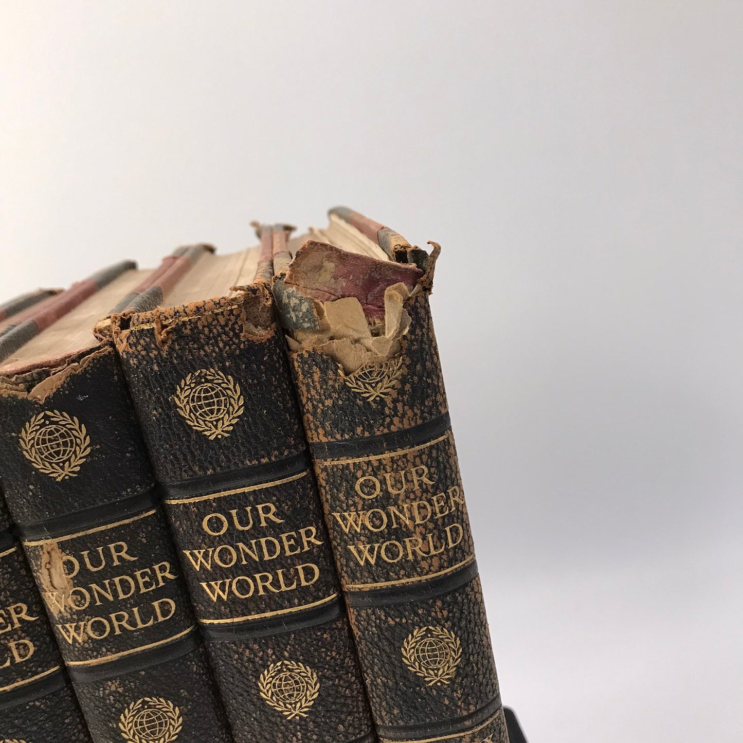 Our Wonder World A Library of Knowledge Complete 10 Volume Encyclopedia Set 1918