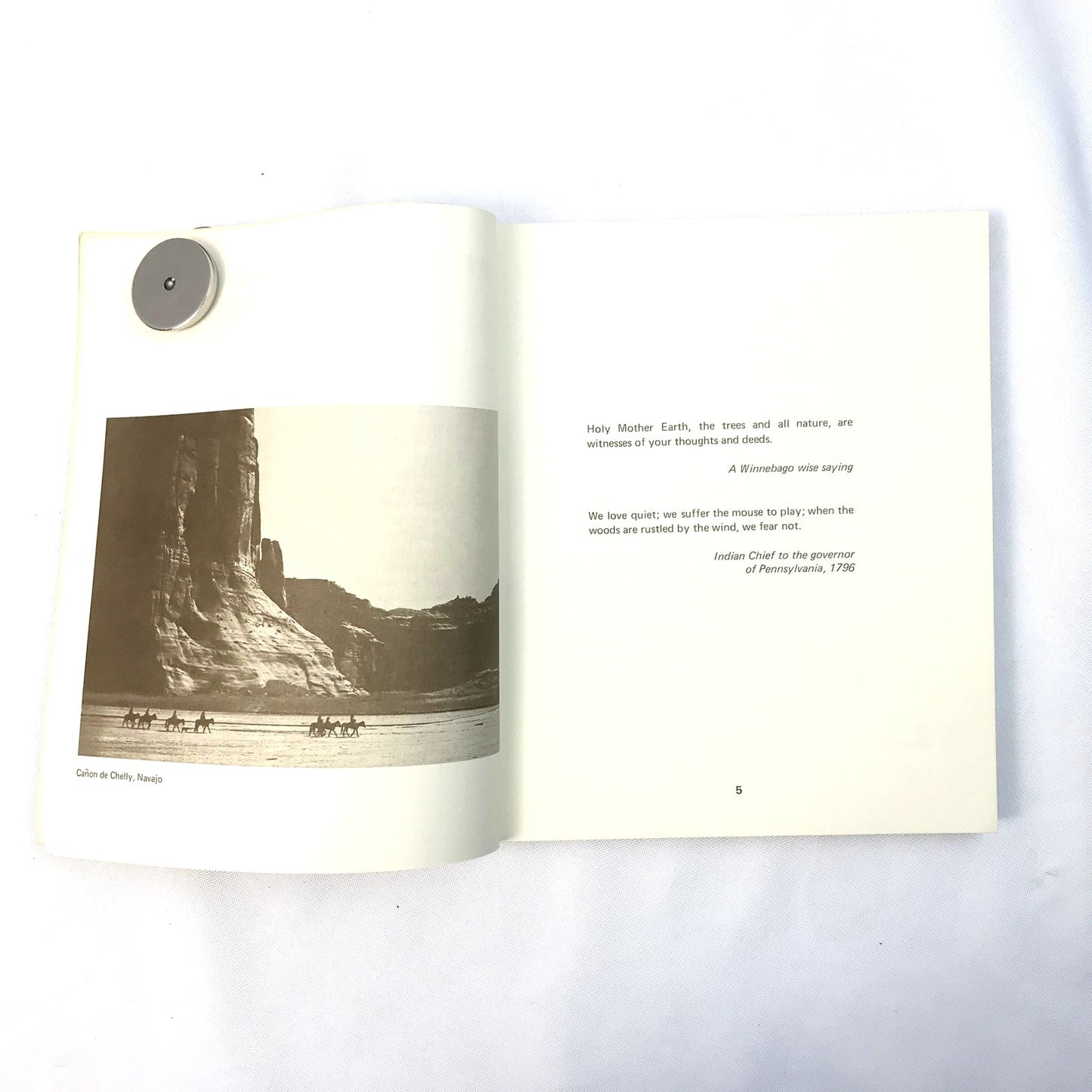 Touch the Earth: A Self-Portrait of Indian Existence by T.C. McLuhan Pocket Book