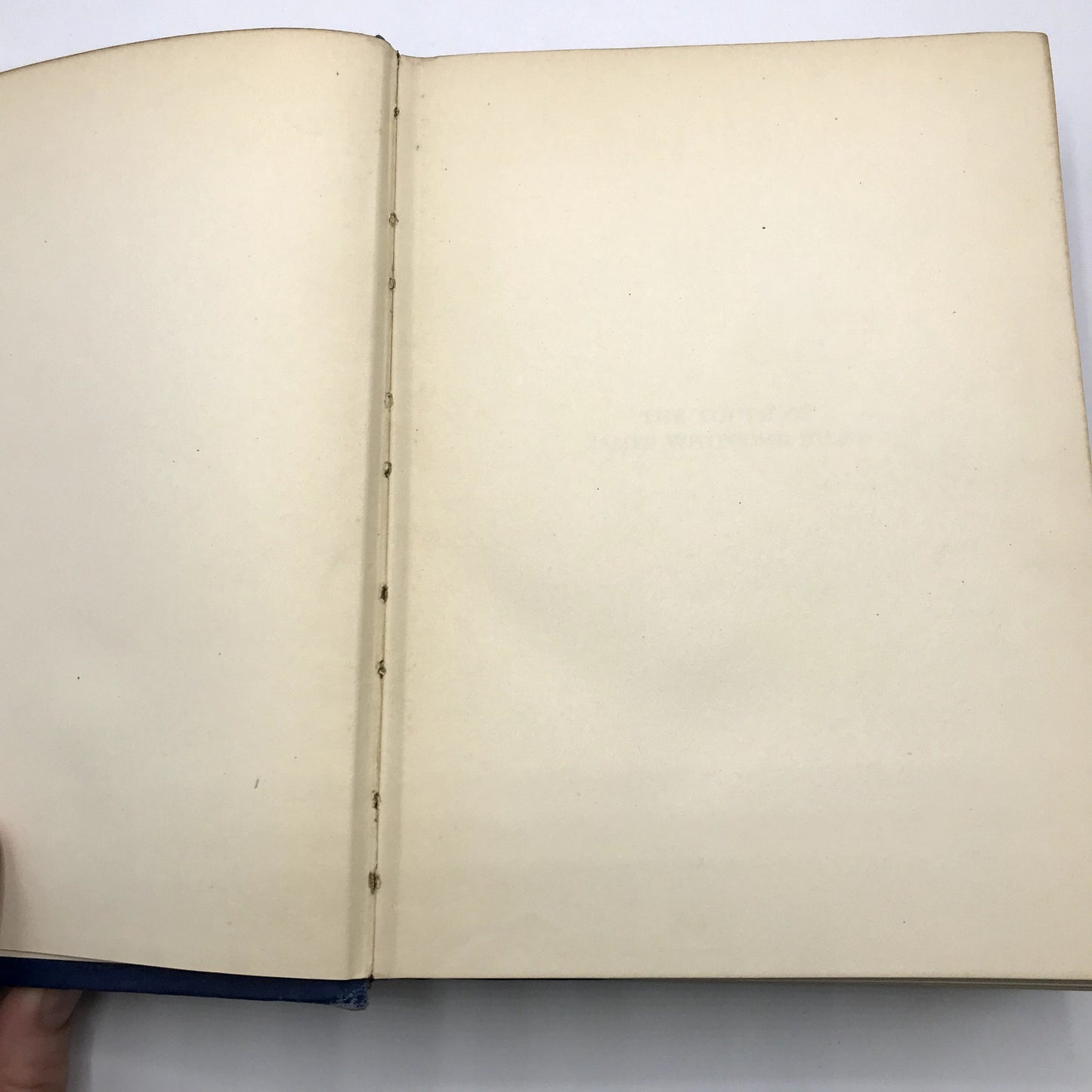 The Youth of James Whitcomb Riley Illustrated Hardcover by Marcus Dickey 1919