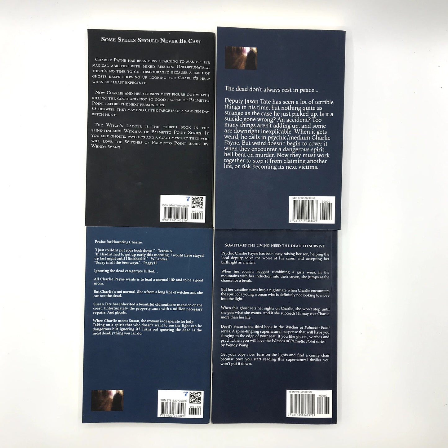 Witches of Palmetto Point 1-4 Wendy Wang Paranormal Romance Urban Fantasy Novels