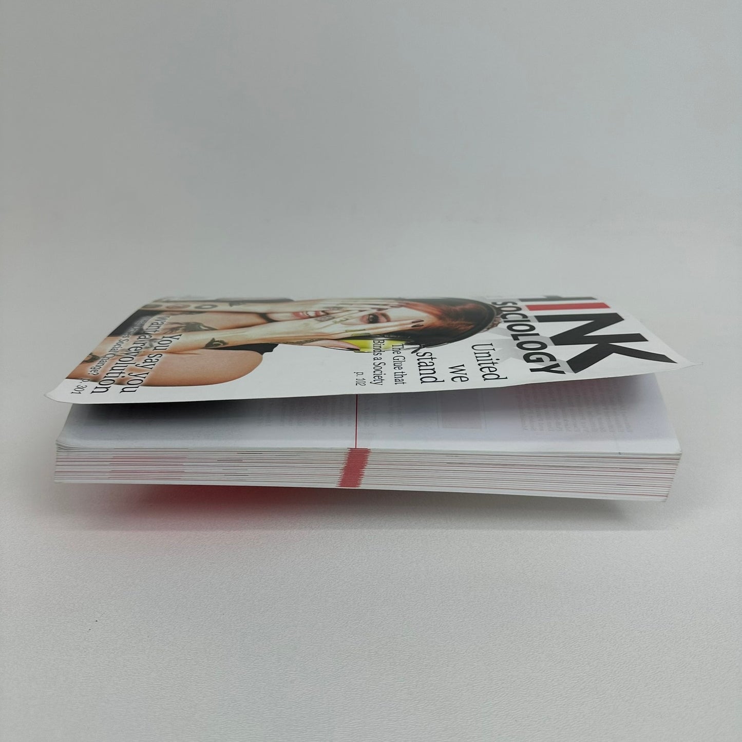 Think Sociology John Carl 2011 Social Science Education Introductory Textbook