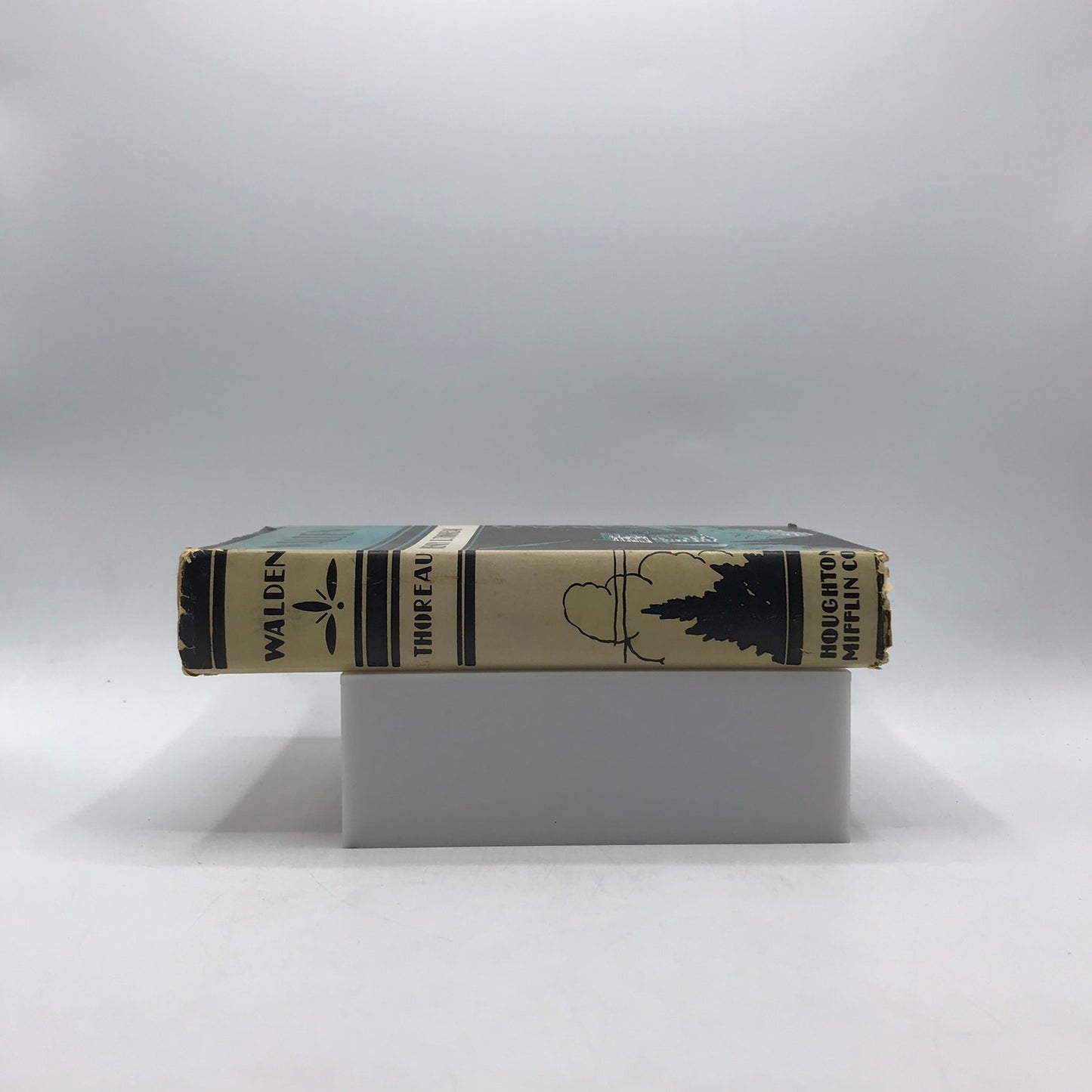 Walden or Life in the Woods Henry David Thoreau Biography Riverside Library 1906