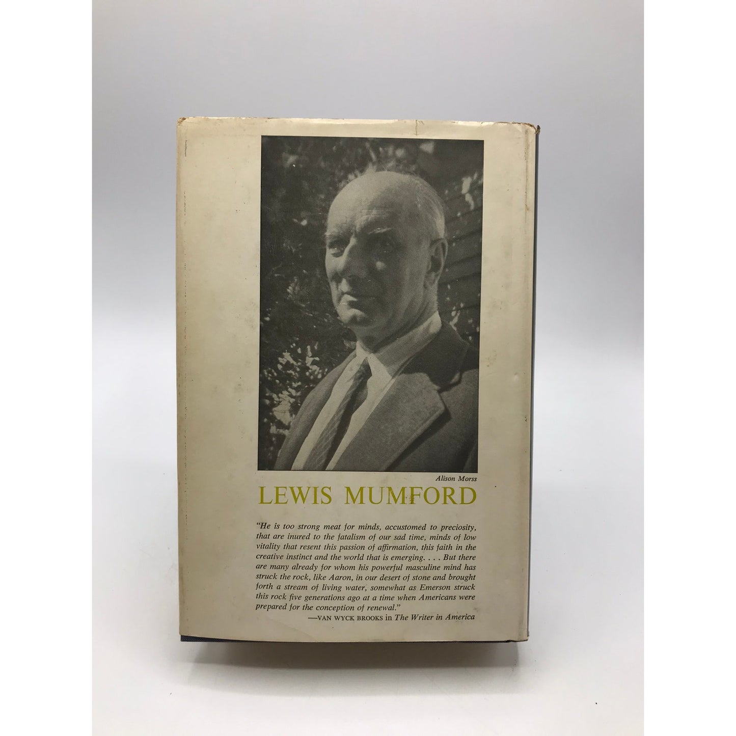 The City in History Lewis Mumford History Cultural Studies Urban Architecture