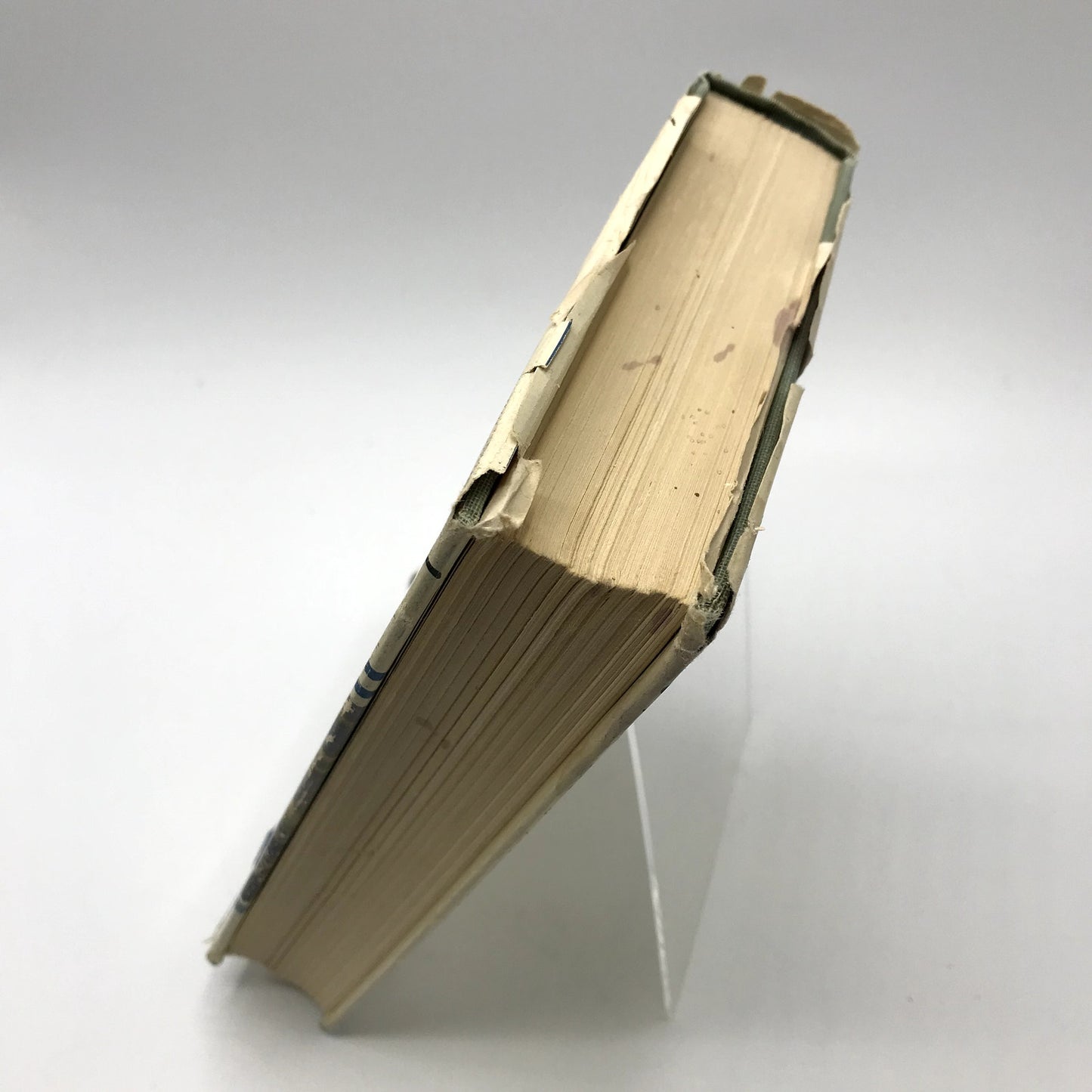 Windswept Signed Hardcover Book Historical Novel by Mary Ellen Chase 1954
