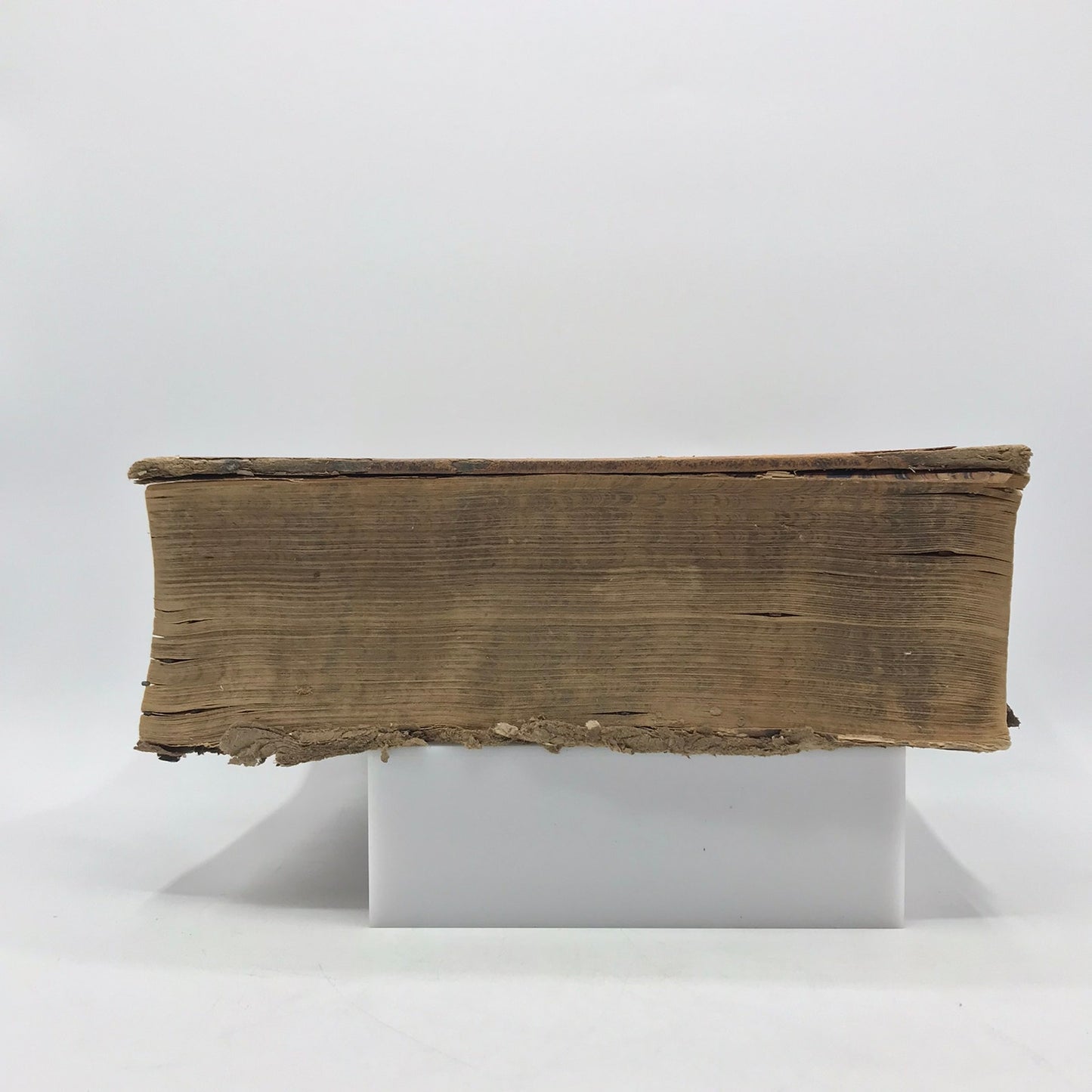 A Copious and Critical Latin English Lexicon E A Andrews Language Lexicography