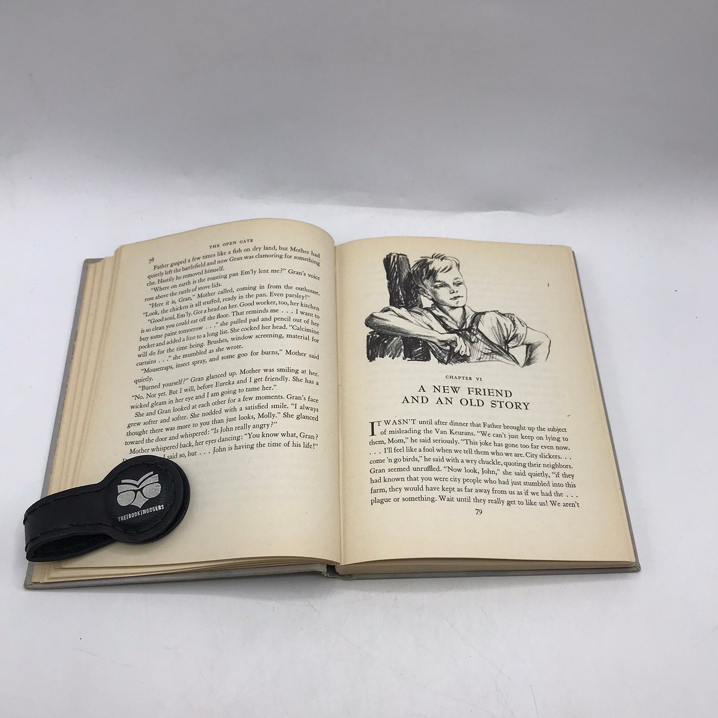 The Open Gate Kate Seredy Coming of Age Rural Life Juvenile Historical Adventure