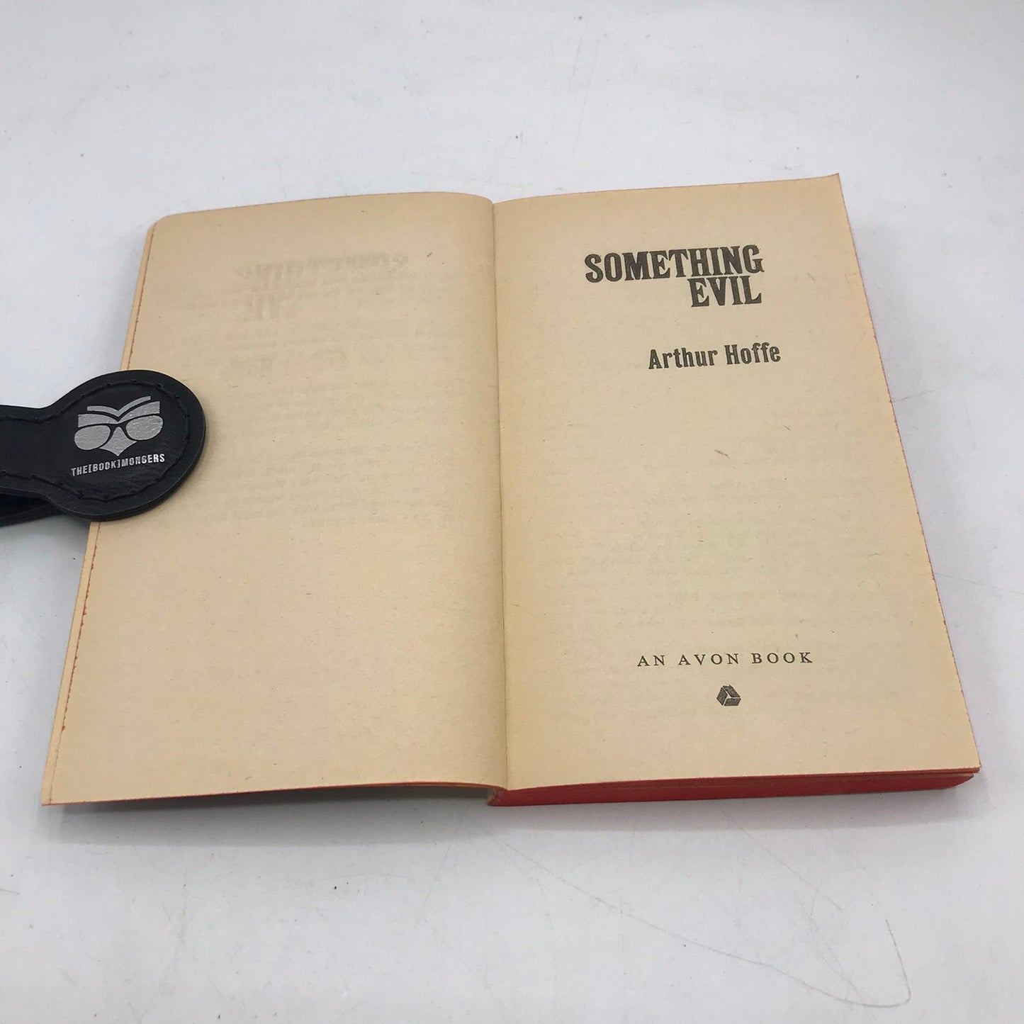 Something Evil Arthur Hoffe Horror Gothic Romance Mystery Supernatural Novel