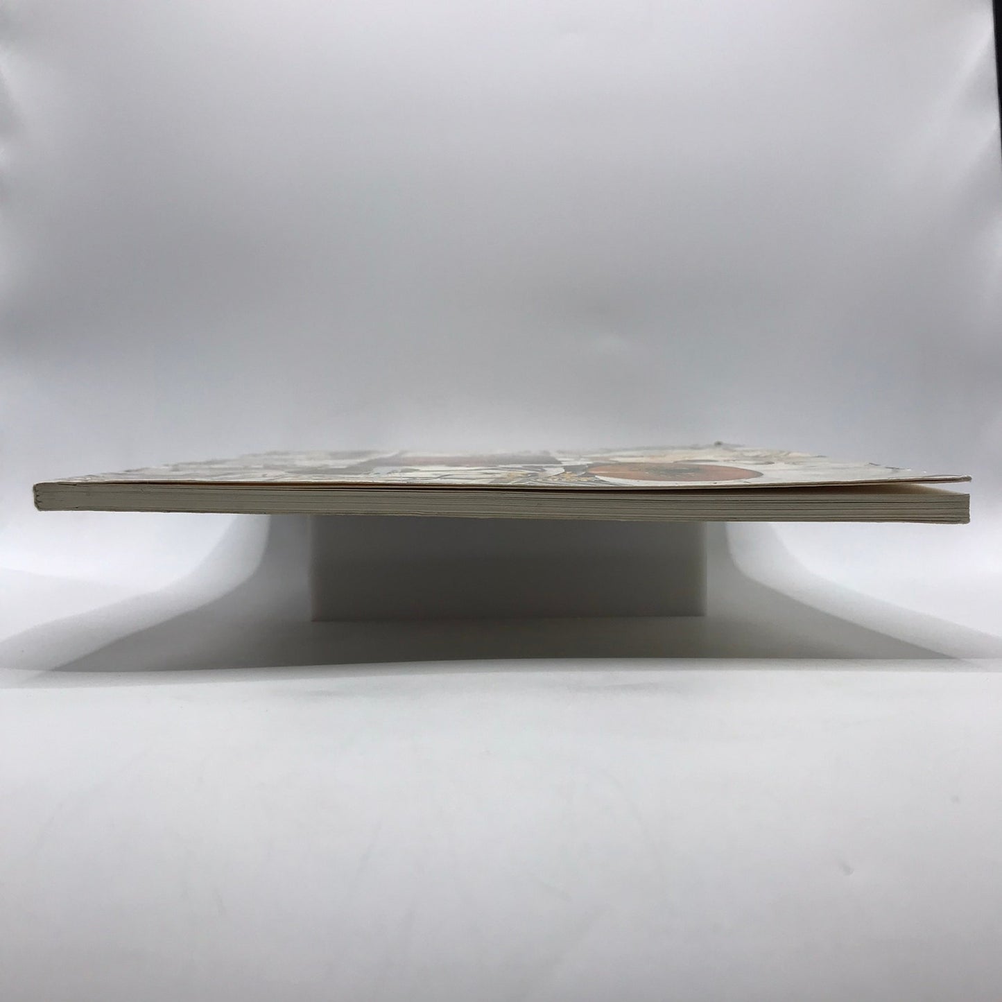 David Salle Art Exhibition Catalog Post Modern Contemporary Expressionism 1991