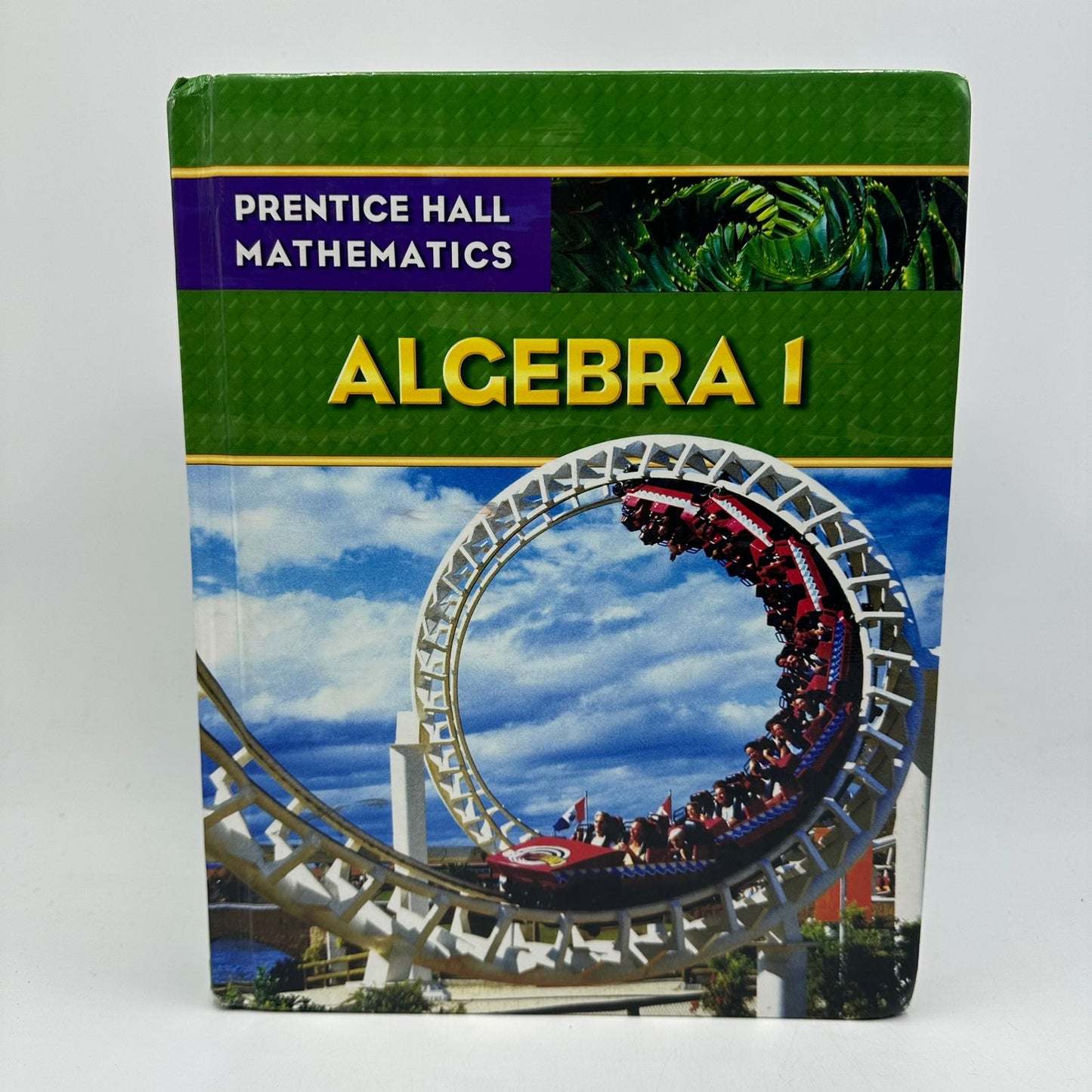 Algebra 1 Prentice Hall Bellman Bragg Charles Handlin Kennedy Math Textbook 2007