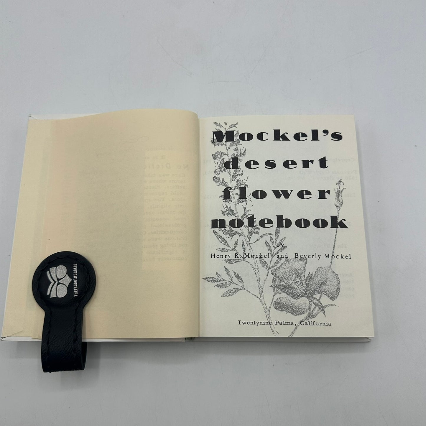 Mockels Desert Flower Notebook Henry Beverly SIGNED Drawings Watercolors 1971