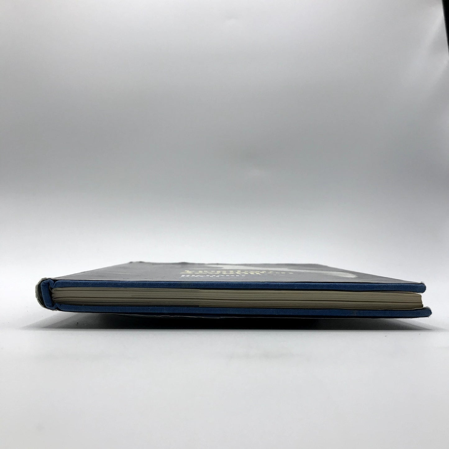 Jonathan Livingston Seagull Illustrated Hardcover Novel by Richard Bach 1970