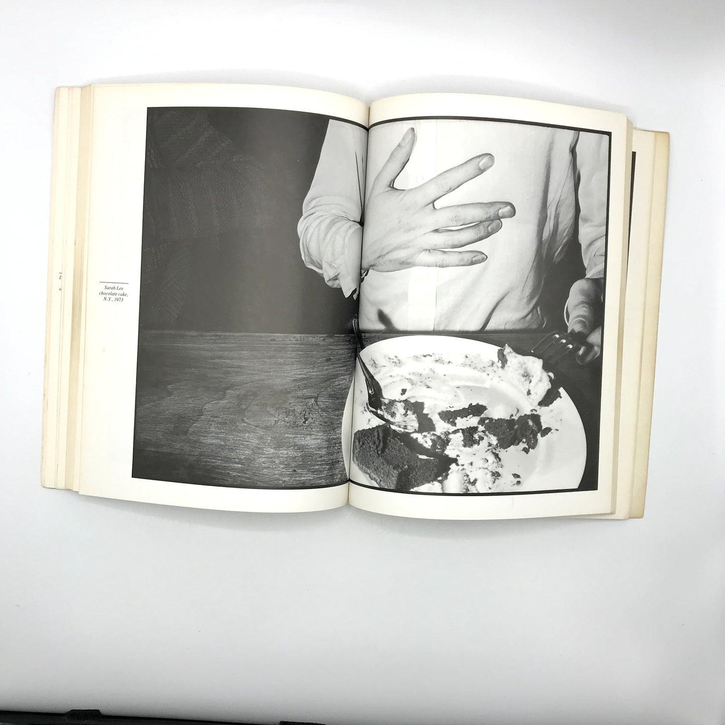 Journal of The Seventies Illustrated Paperback Photography Book Jean C. Pigozzi