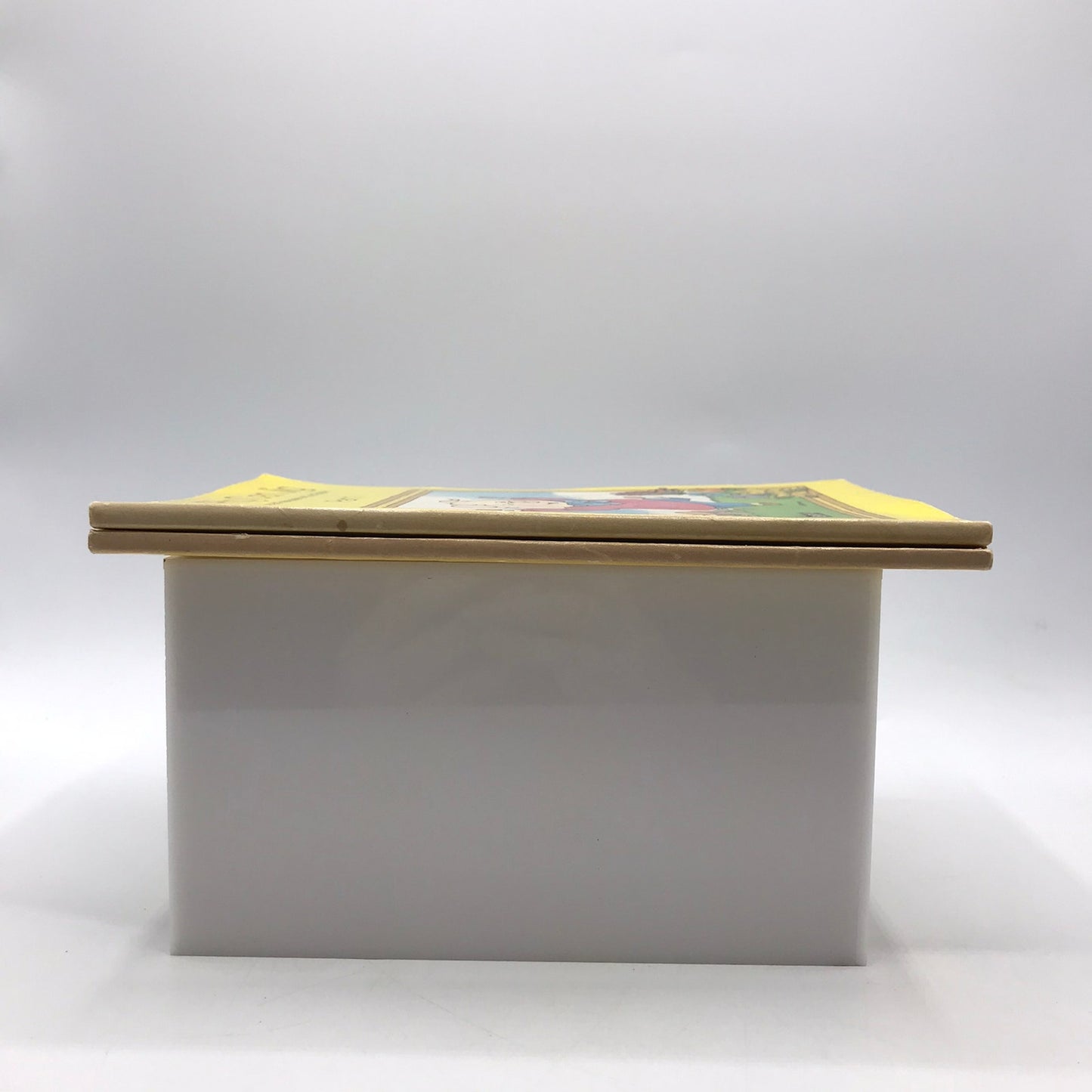 A Pig Can Jig Part 1 and 2 Rasmussen Goldberg Basic Reading Phonics Level A