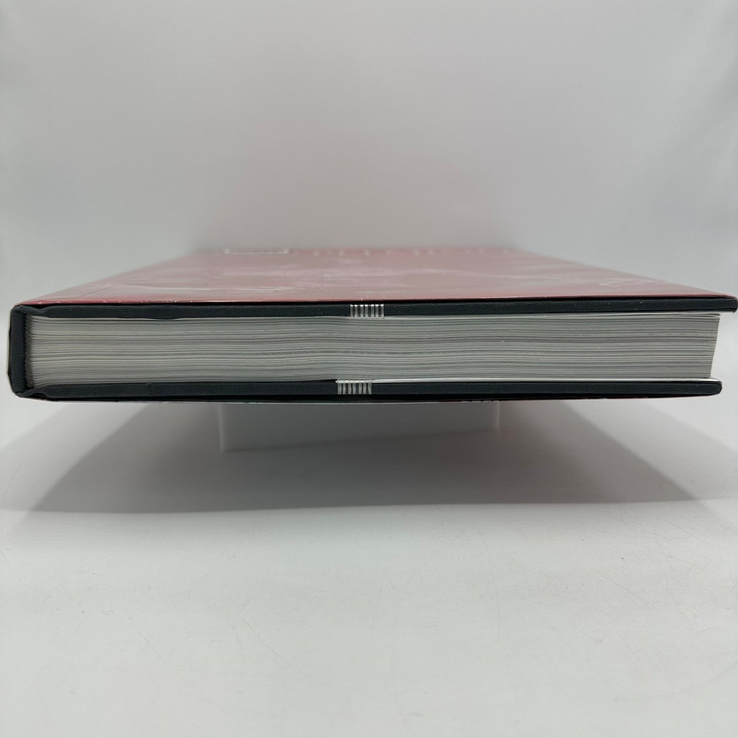 Yan Pei Ming Francesco Bonami Painting History Art Monograph Exhibition Catalog