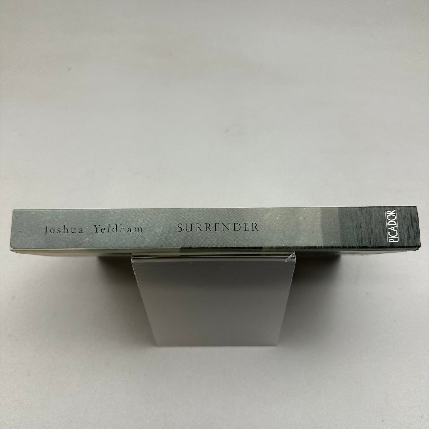 Surrender A Journal for My Daughter Joshua Yeldham 2016 Autobiography Memoir