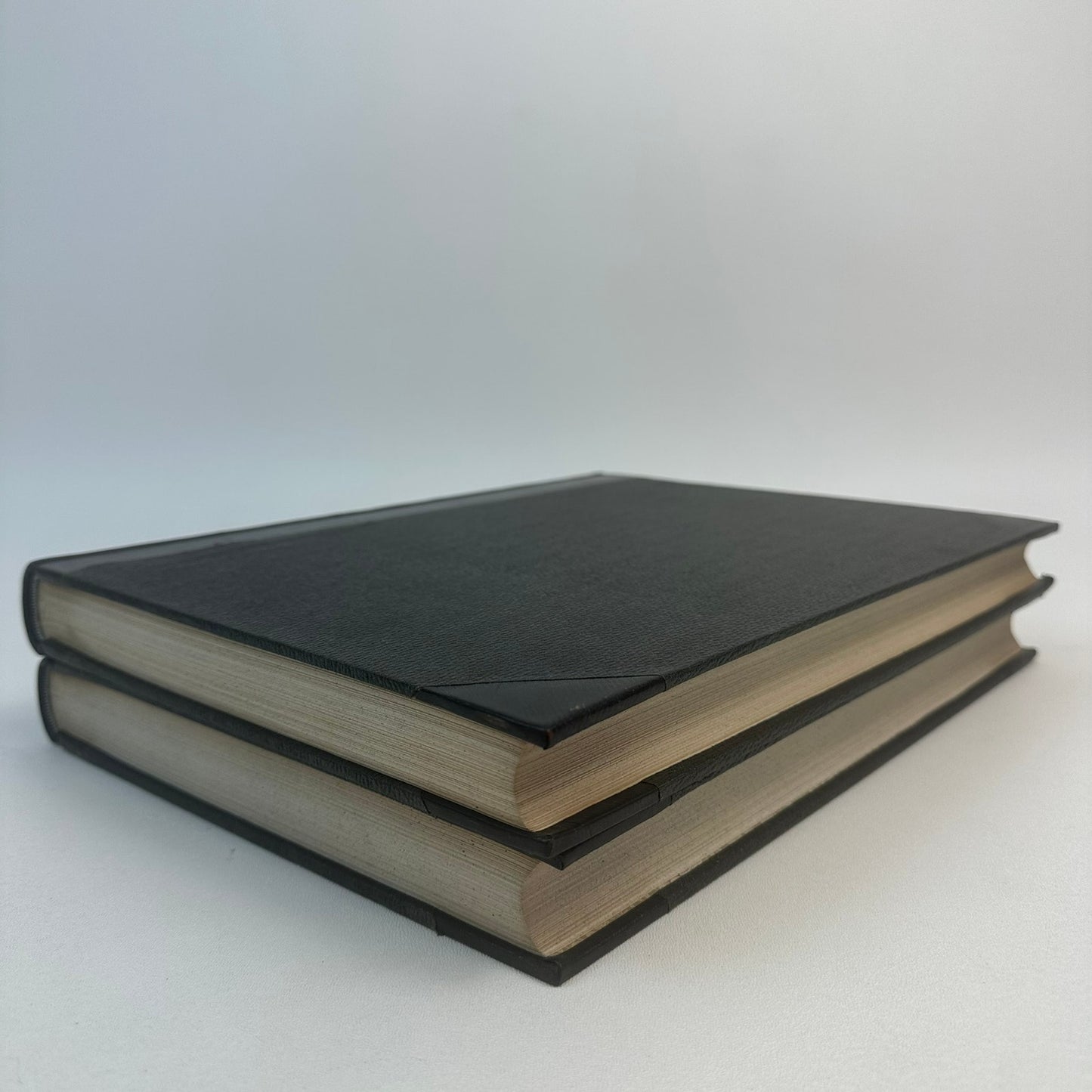 The Masterpieces of European Art Volumes 1 and 2 History Culture Painting