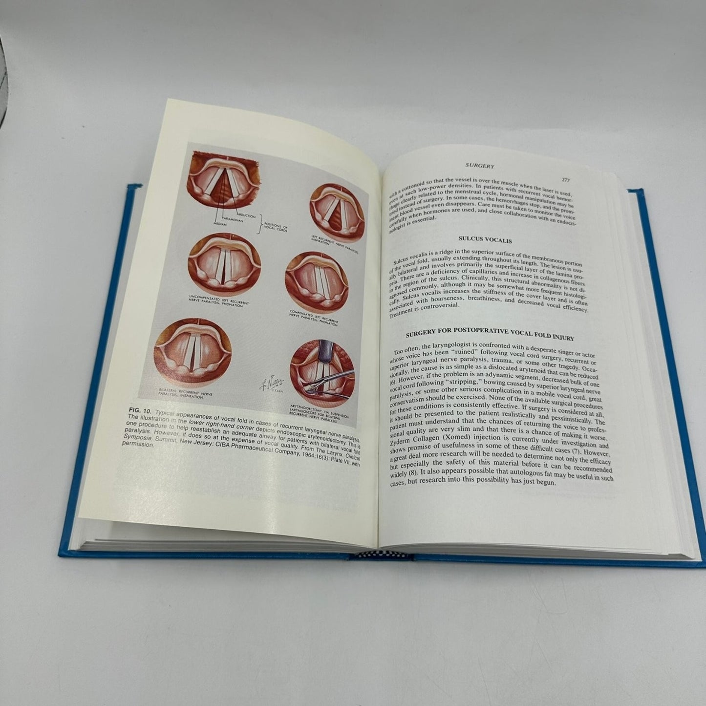 Professional Voice The Science and Art of Clinical Care Sataloff 1991 Raven