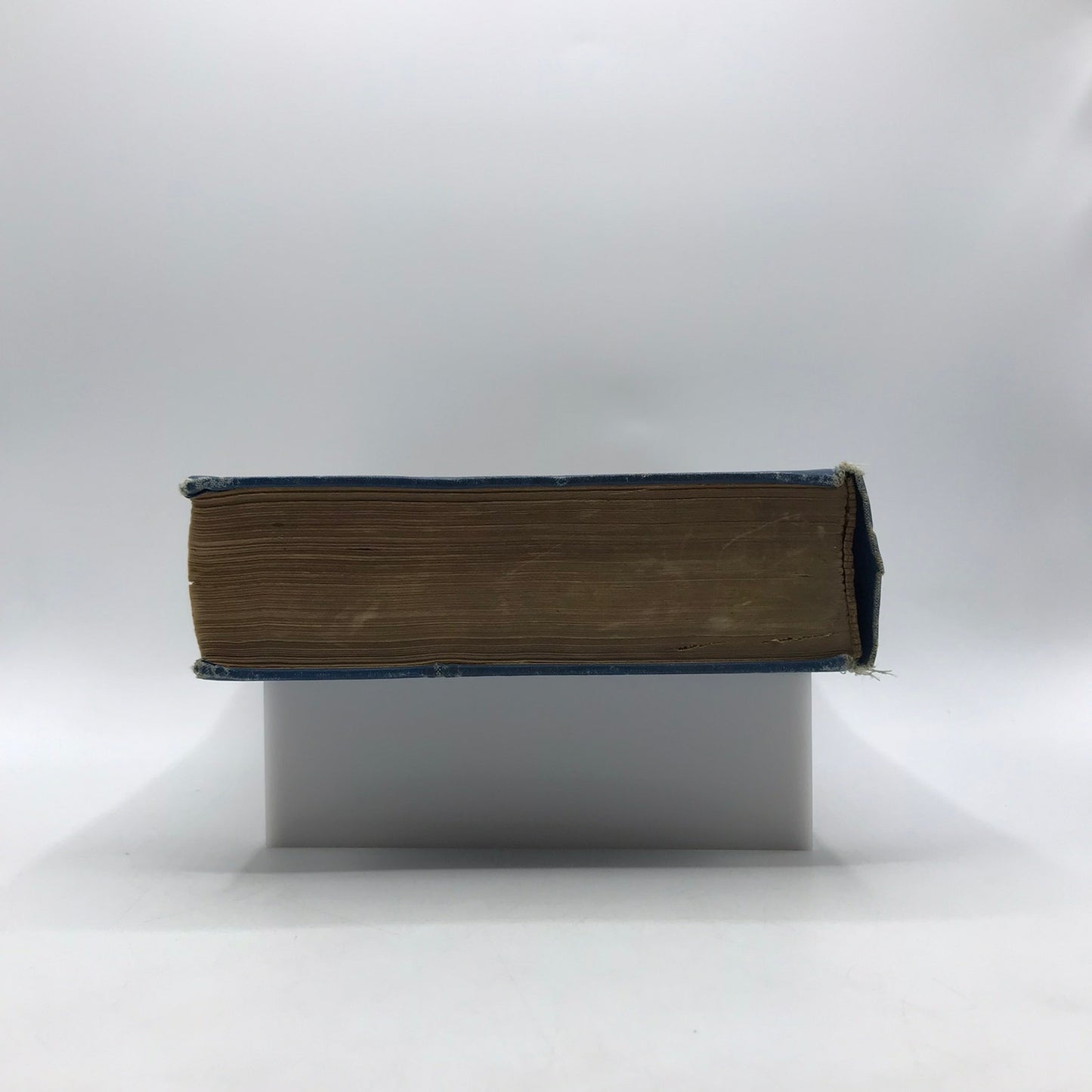 Ivanhoe Sir Walter Scott Milo Winter Romance Medieval Historical Adventure Novel