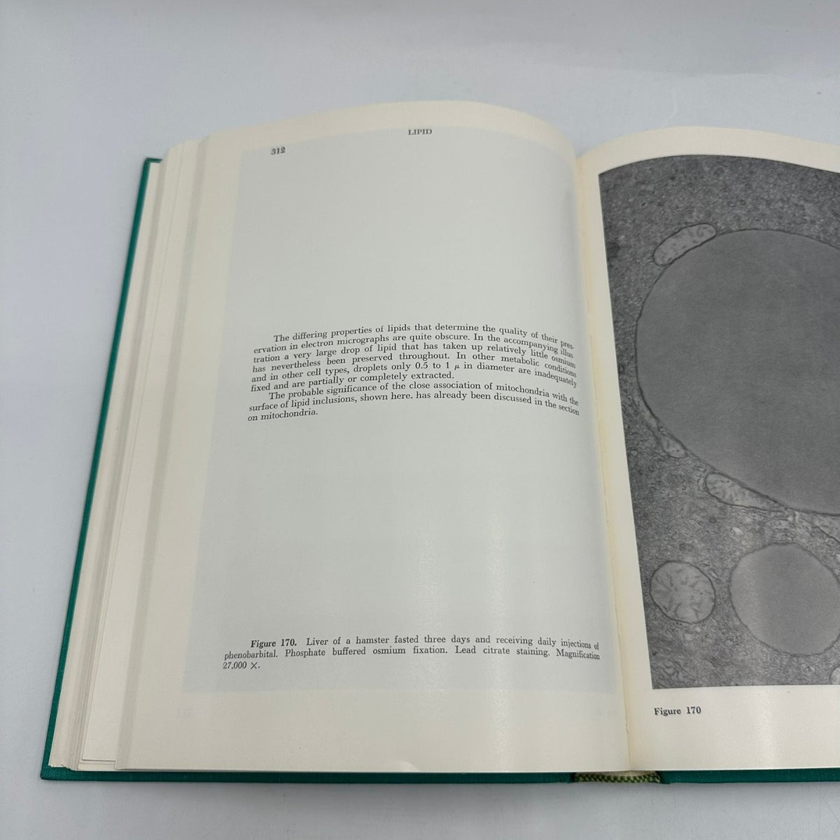 An Atlas of Fine Structure THE CELL Fawcett 1969 Biology Cytology Saunders