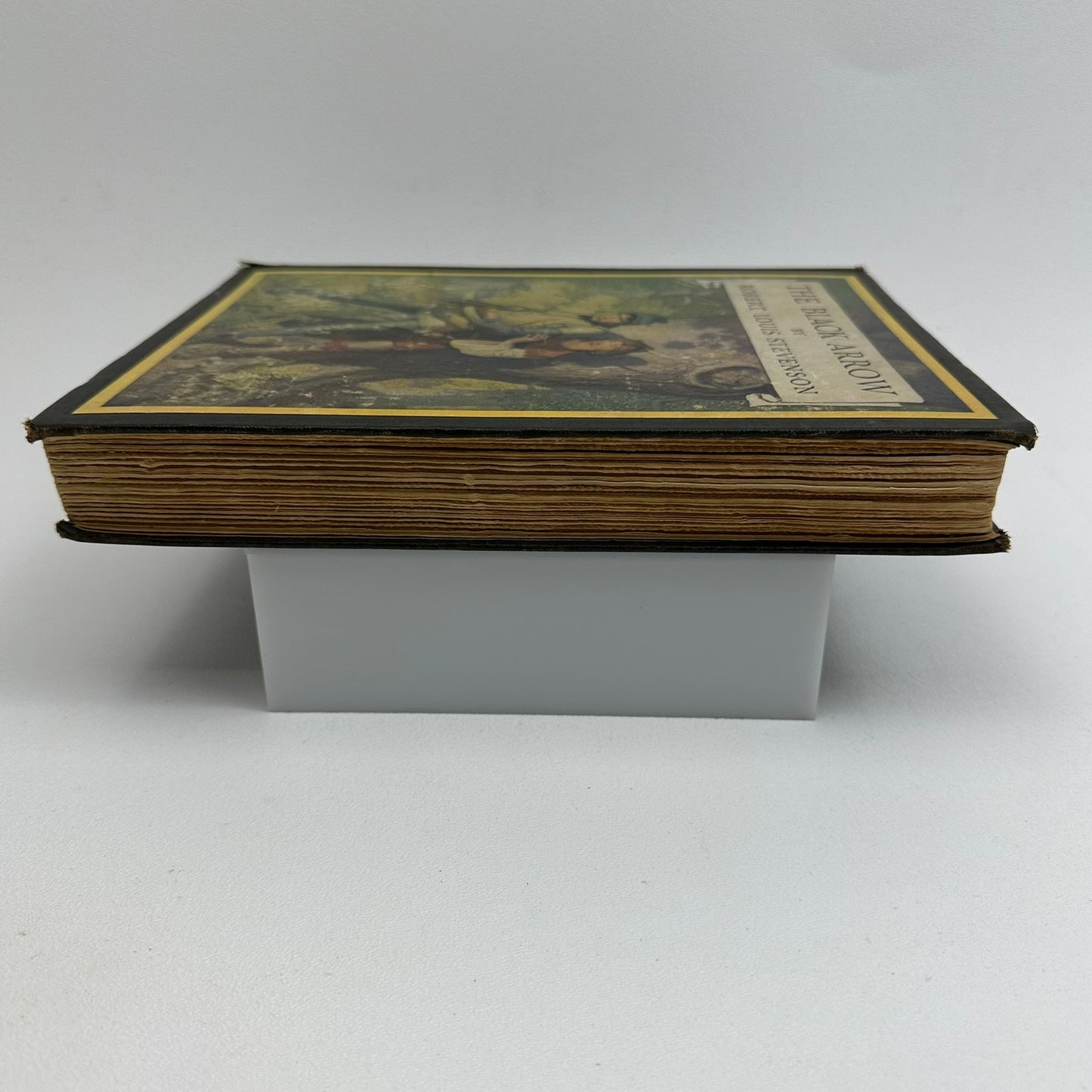 The Black Arrow Robert Louis Stevenson Tale of Two Roses Color Plates Wyeth 1916