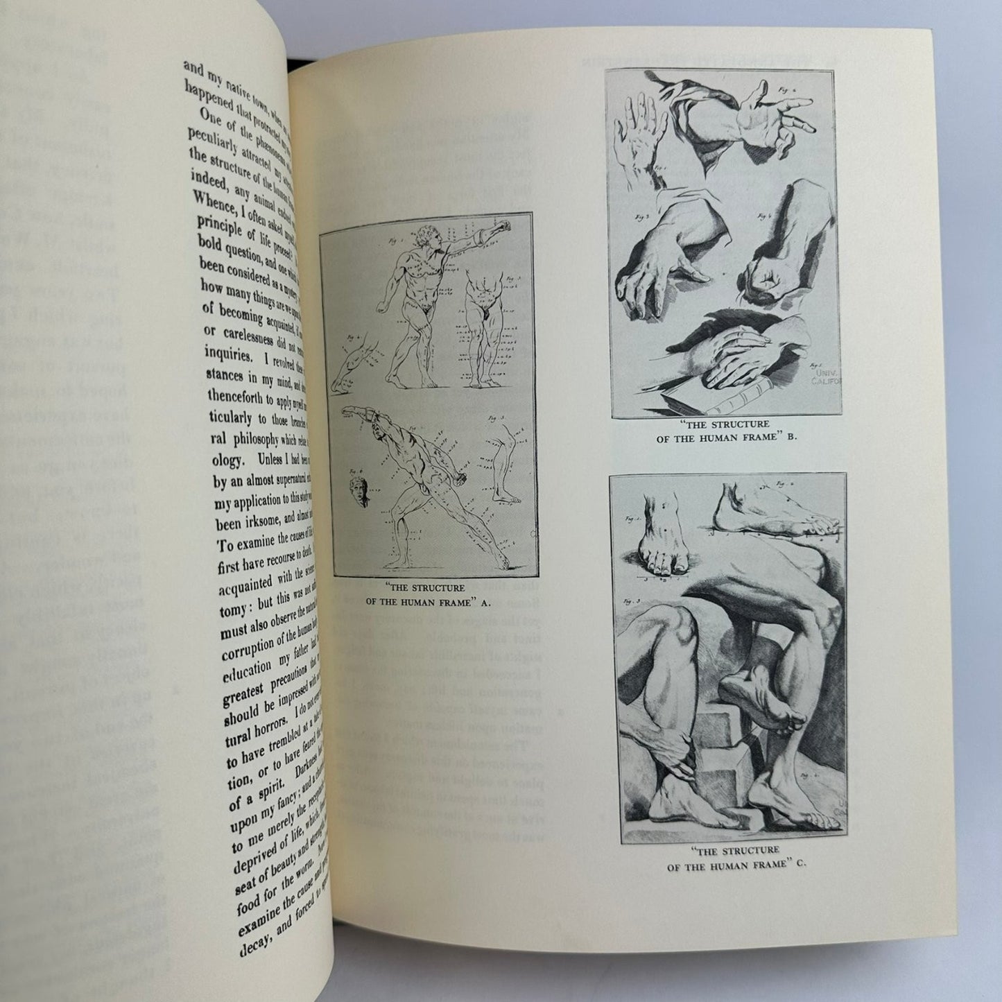 Annotated Frankenstein Mary Shelley 1977 Leonard Wolf Illustrated Clarkson