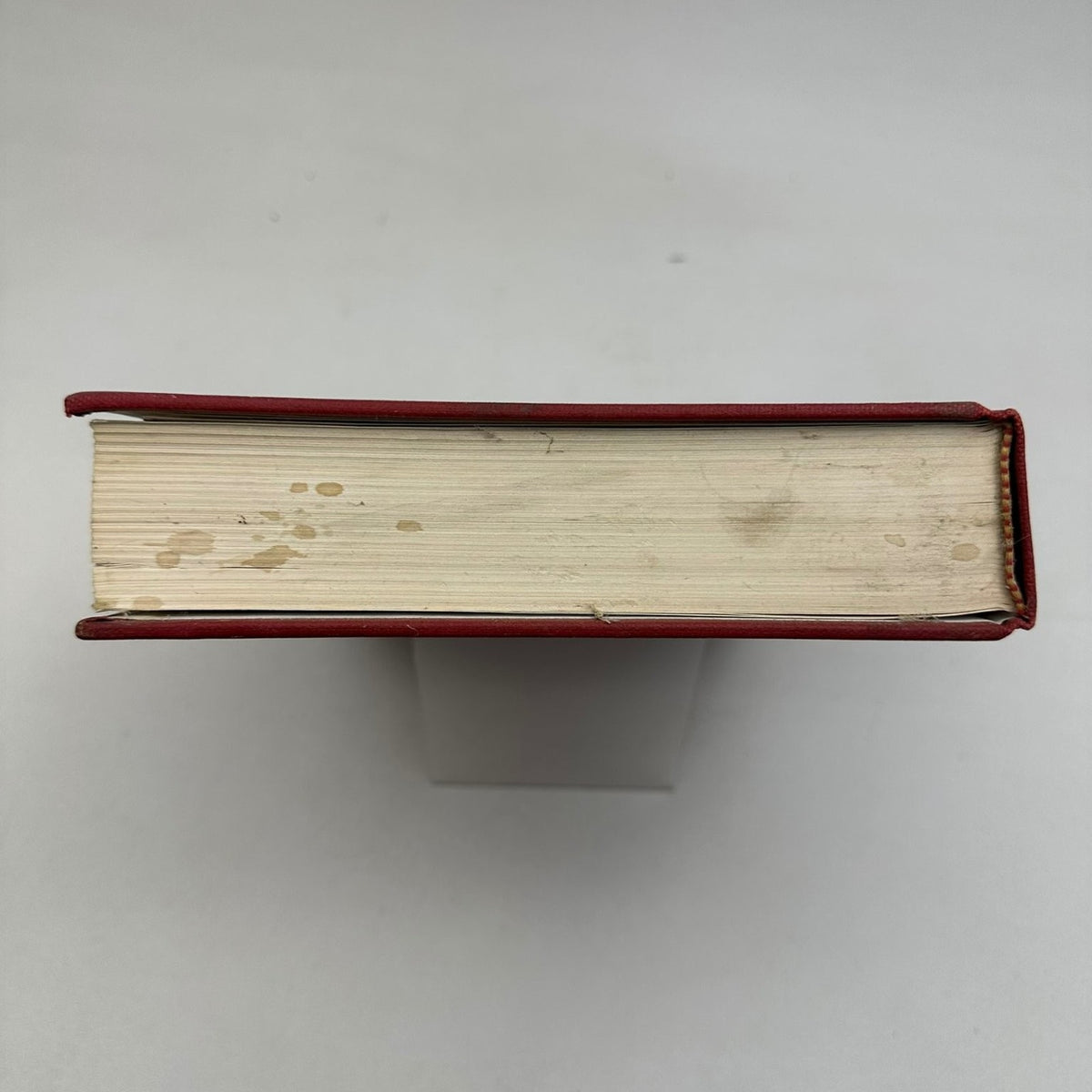 Fishes of the Gulf of Maine Bigelow Schroeder 1953 First Revision Ichthyology