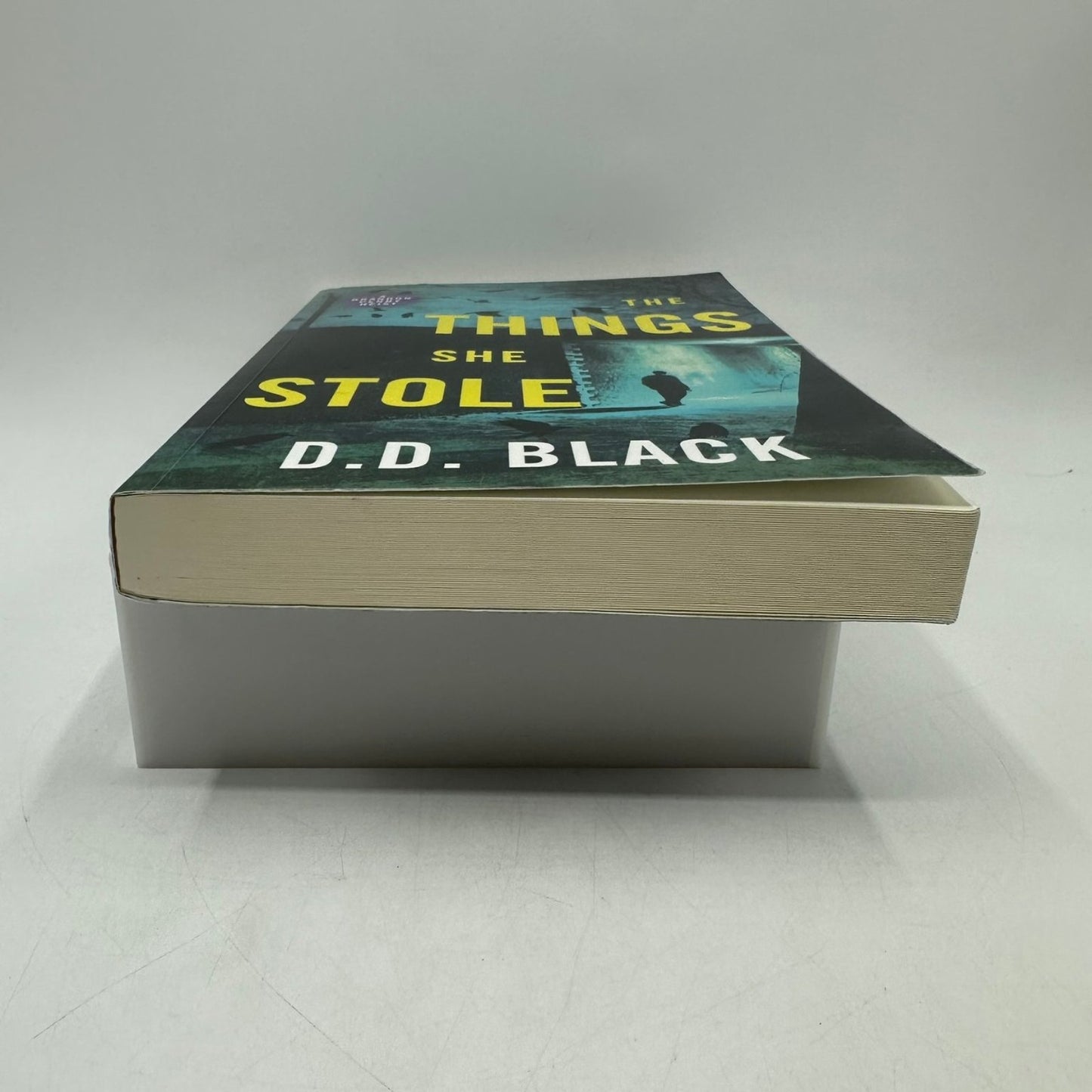 The Things She Stole D.D. Black A Brandon Penny Heist Crime Thriller Paperback