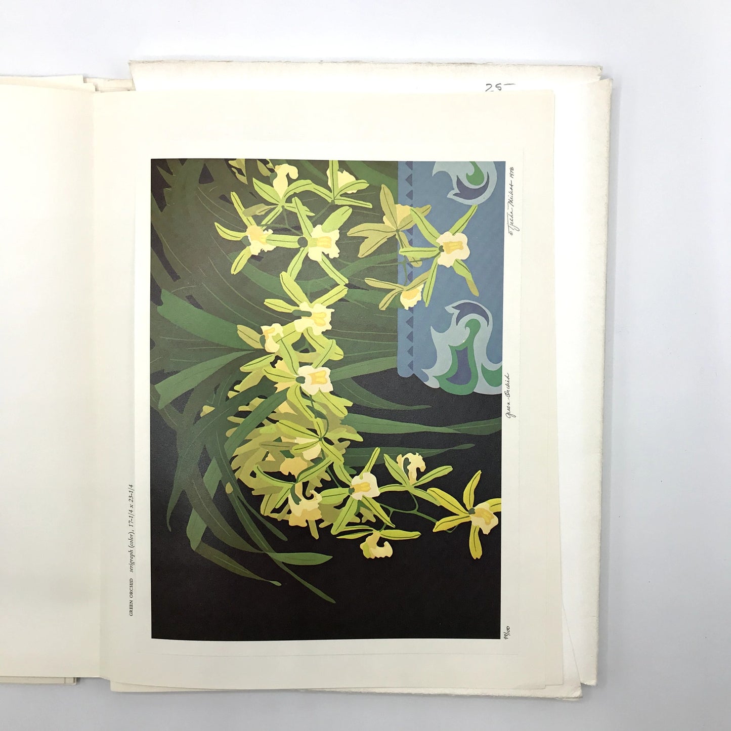 Hunt Institute A Northeast Folio Botanical Prints 1979 Hardcover Book #365/750